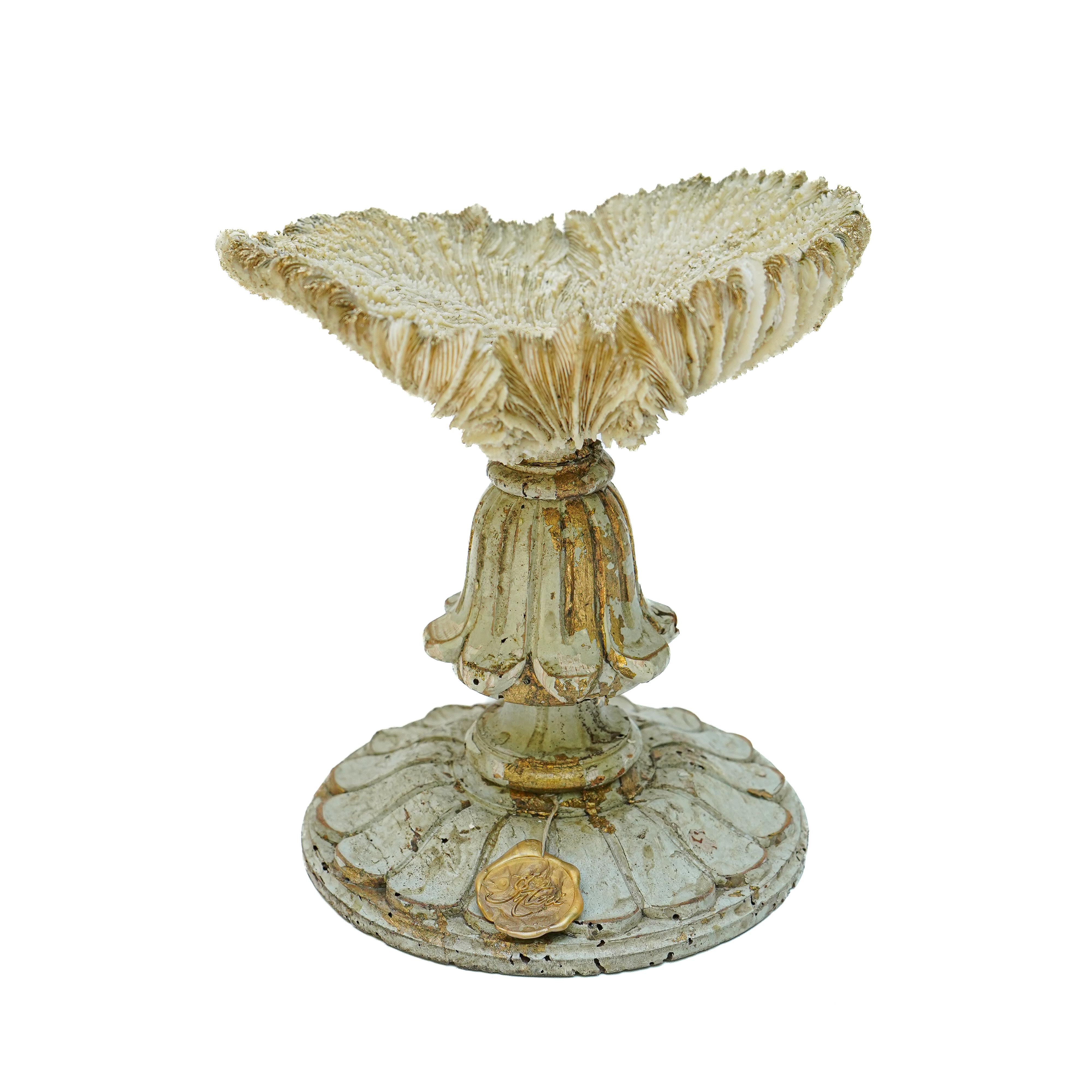 19th Century Italian Gilded Fragments with Fossil Coral and Shells 'Group of 8' For Sale 5