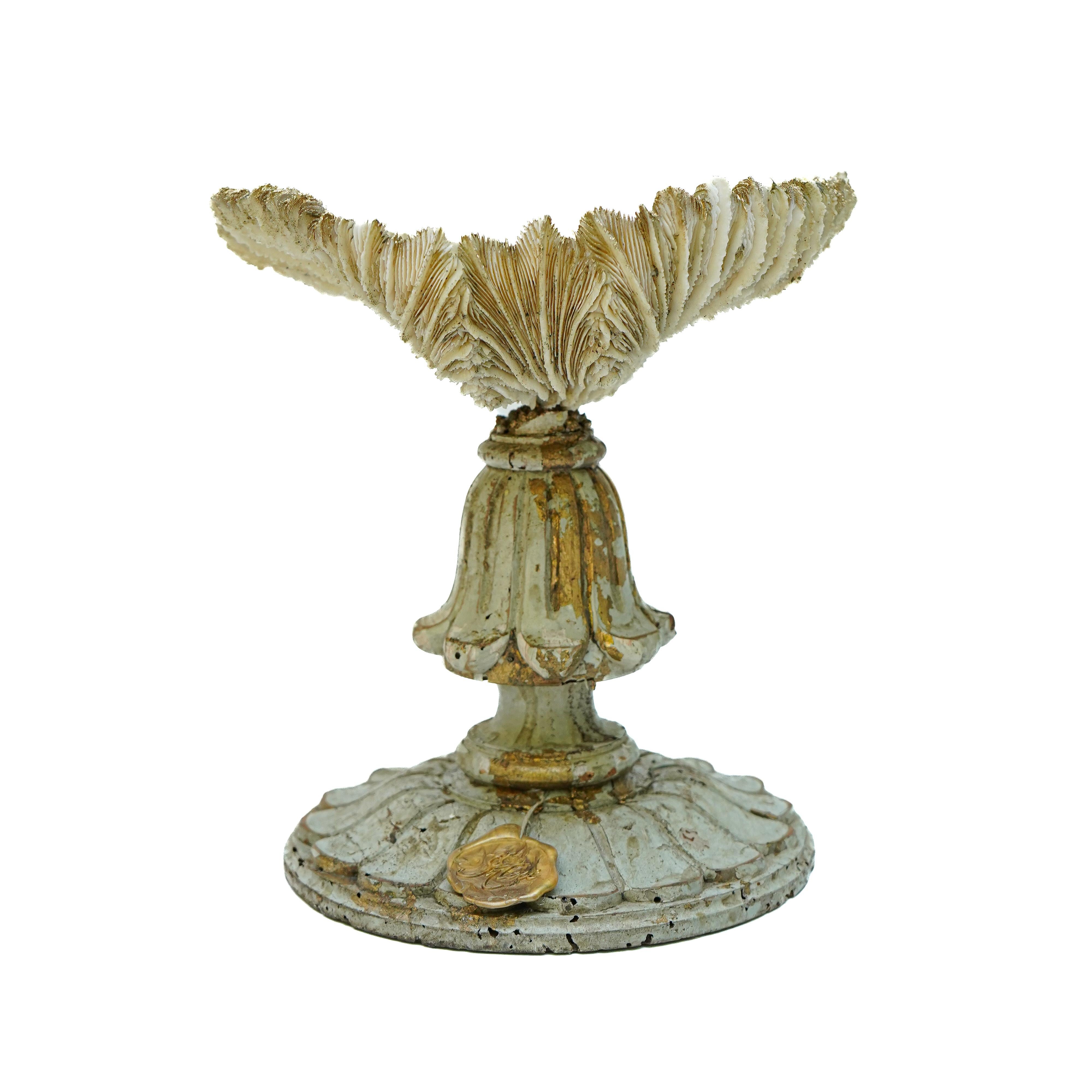 19th Century Italian Gilded Fragments with Fossil Coral and Shells 'Group of 8' For Sale 6
