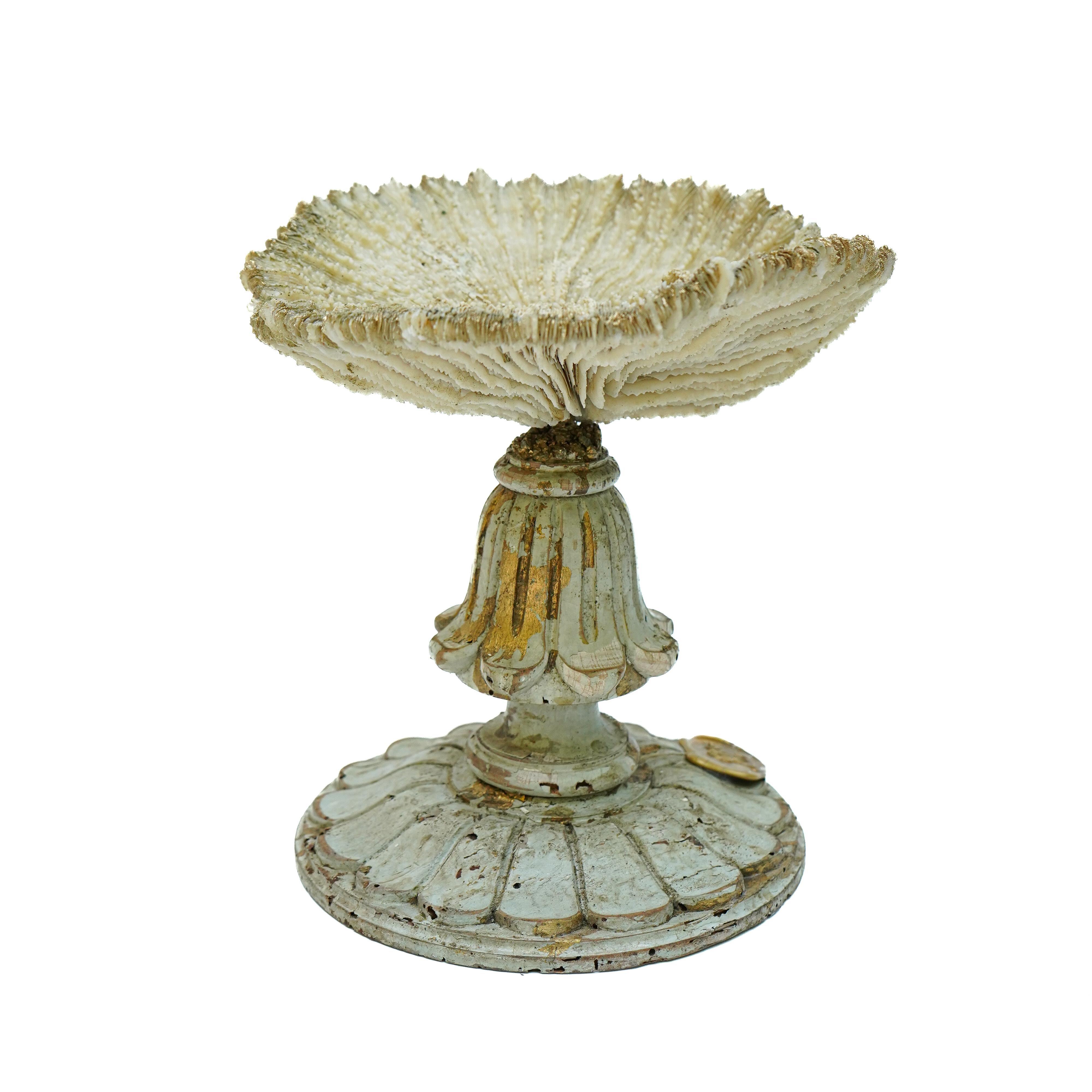 19th Century Italian Gilded Fragments with Fossil Coral and Shells 'Group of 8' For Sale 7
