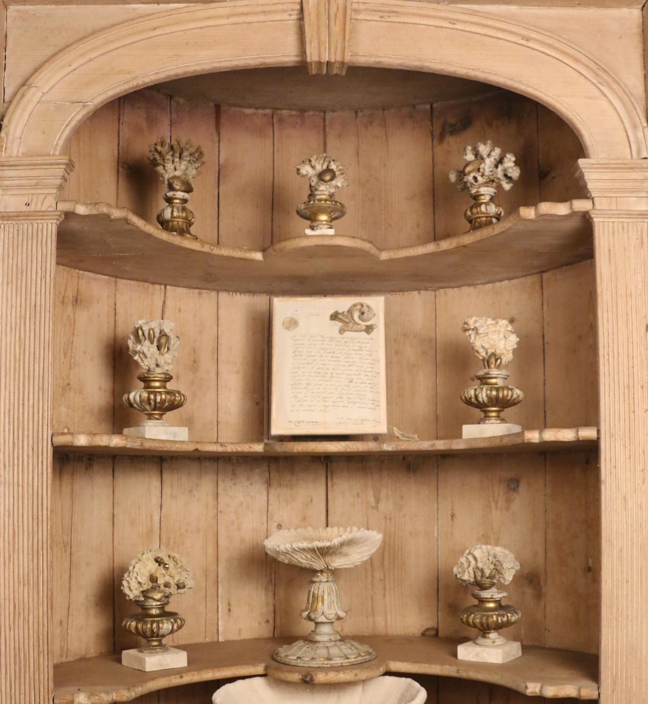19th Century Italian Gilded Fragments with Fossil Coral and Shells 'Group of 8' For Sale 8