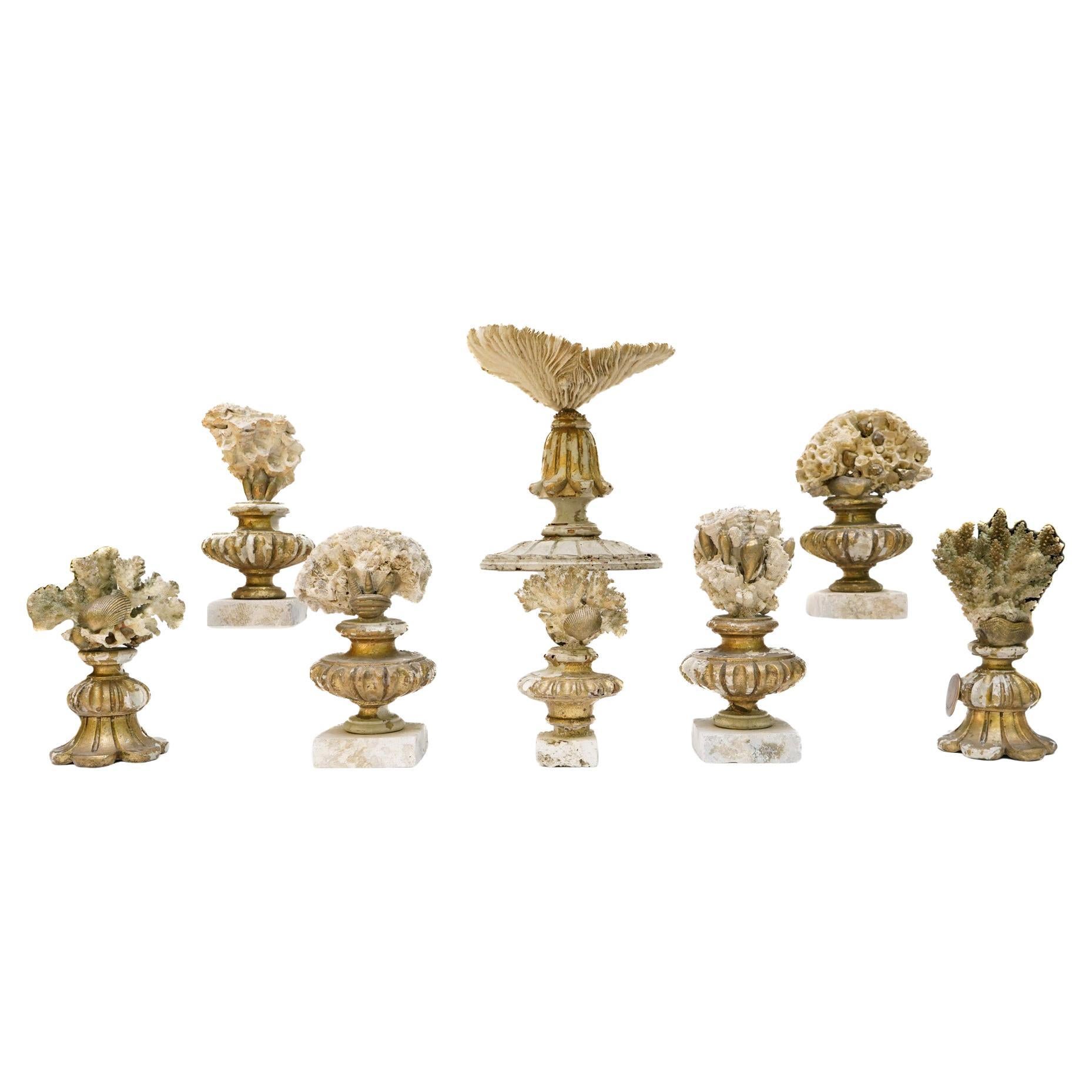 Group of sculptural 19th century Italian gilded fragments mounted with fossil coral and adorned with hand-gilded shells with rock coral bases.

This exclusive eight-piece collection of sculptural fragments that features the gilded fragments of a