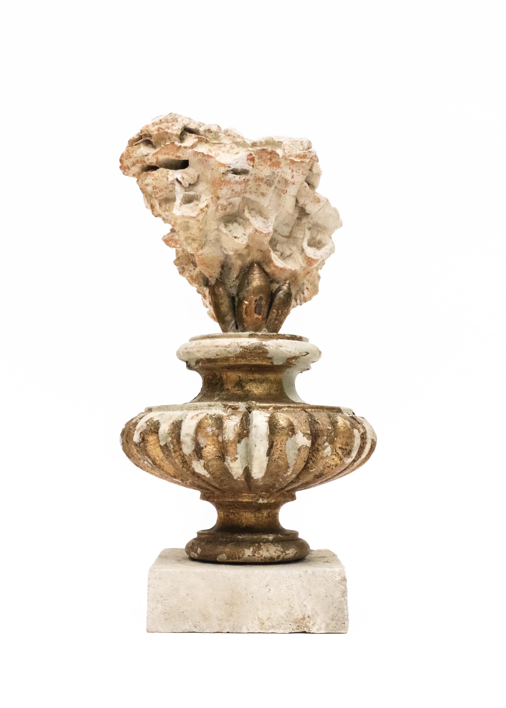 Neoclassical 19th Century Italian Gilded Fragments with Fossil Coral and Shells 'Group of 8' For Sale