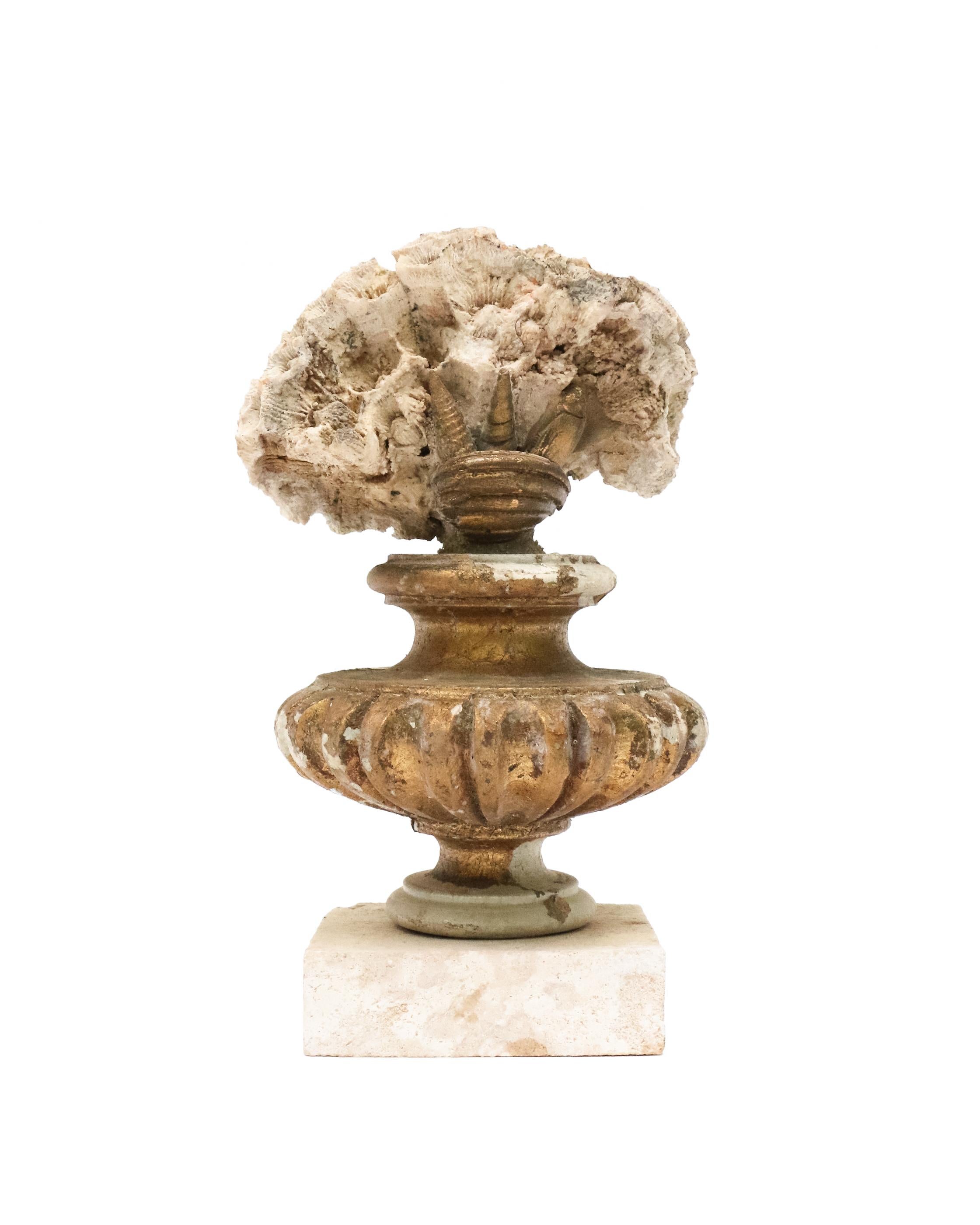 Hand-Carved 19th Century Italian Gilded Fragments with Fossil Coral and Shells 'Group of 8' For Sale