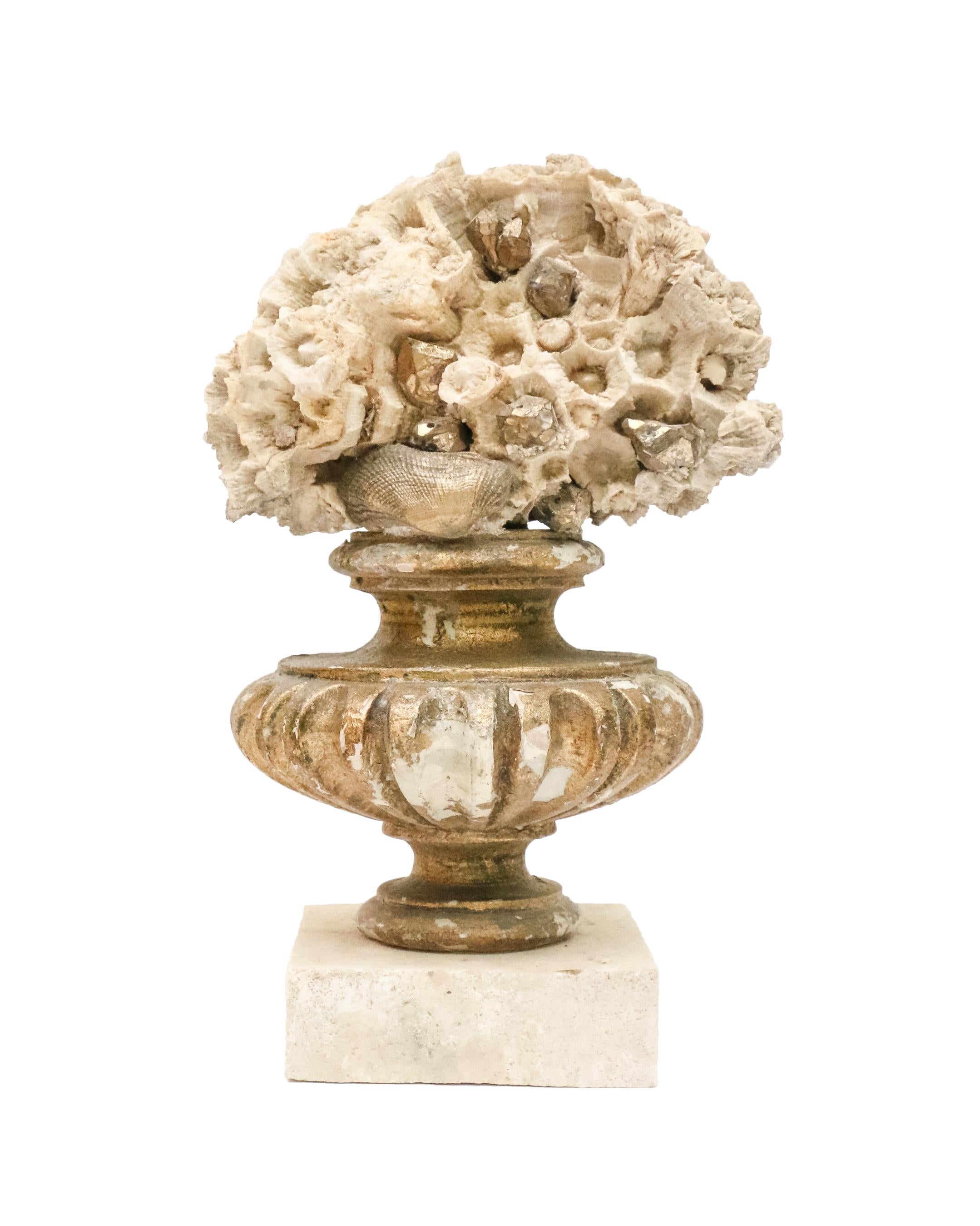 19th Century Italian Gilded Fragments with Fossil Coral and Shells 'Group of 8' In Good Condition For Sale In Dublin, Dalkey