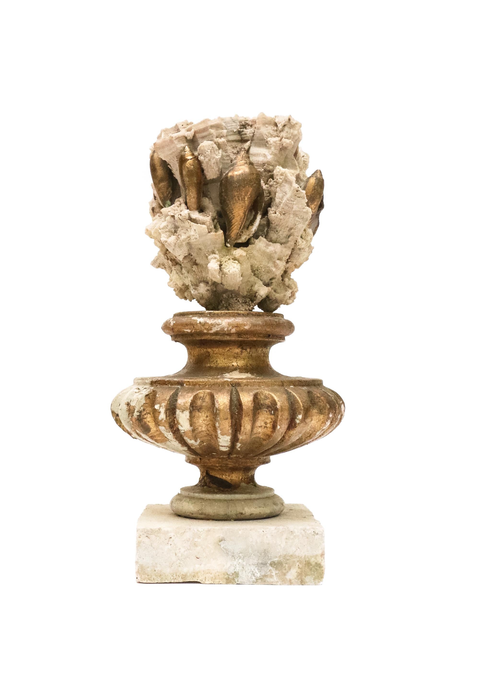 19th Century Italian Gilded Fragments with Fossil Coral and Shells 'Group of 8' For Sale 1
