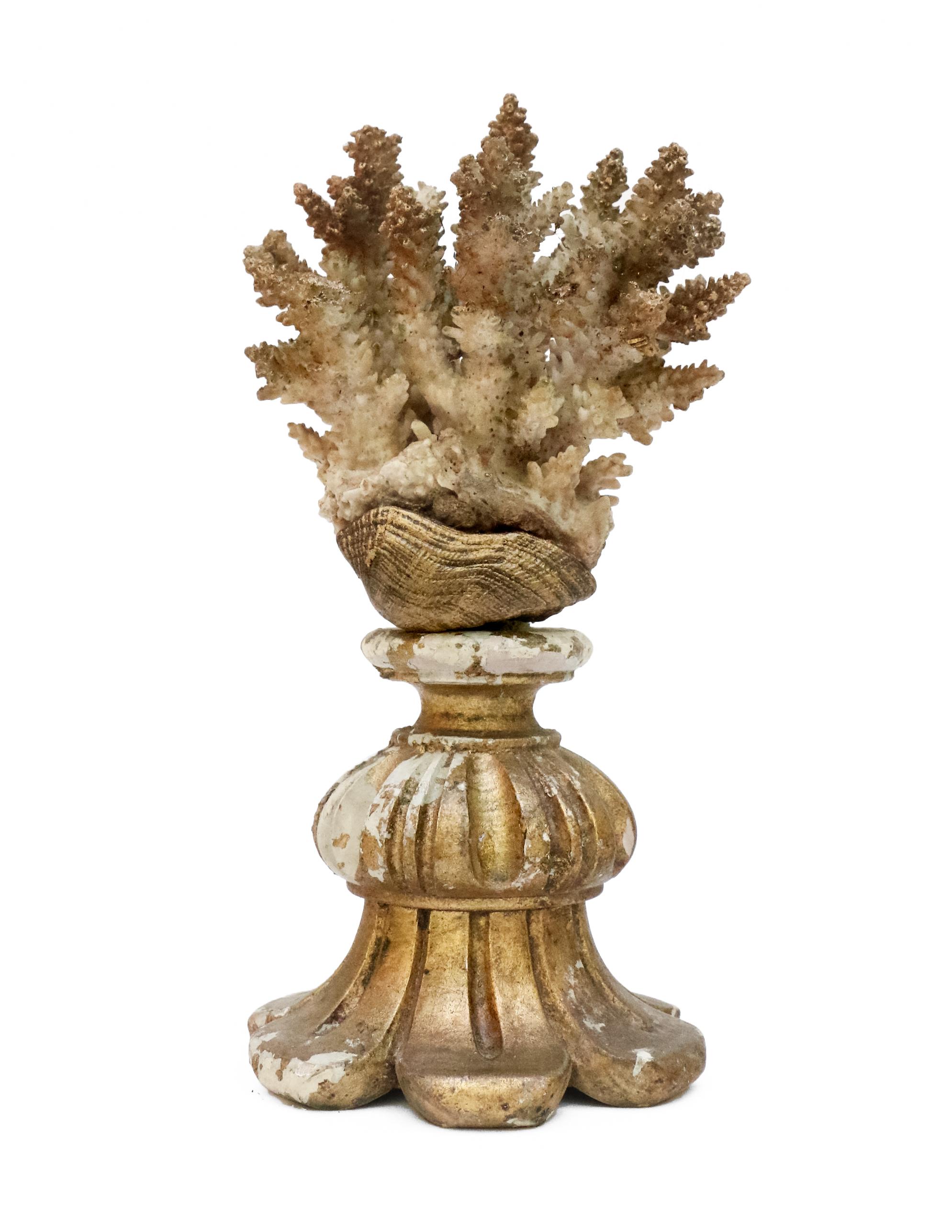 19th Century Italian Gilded Fragments with Fossil Coral and Shells 'Group of 8' For Sale 3