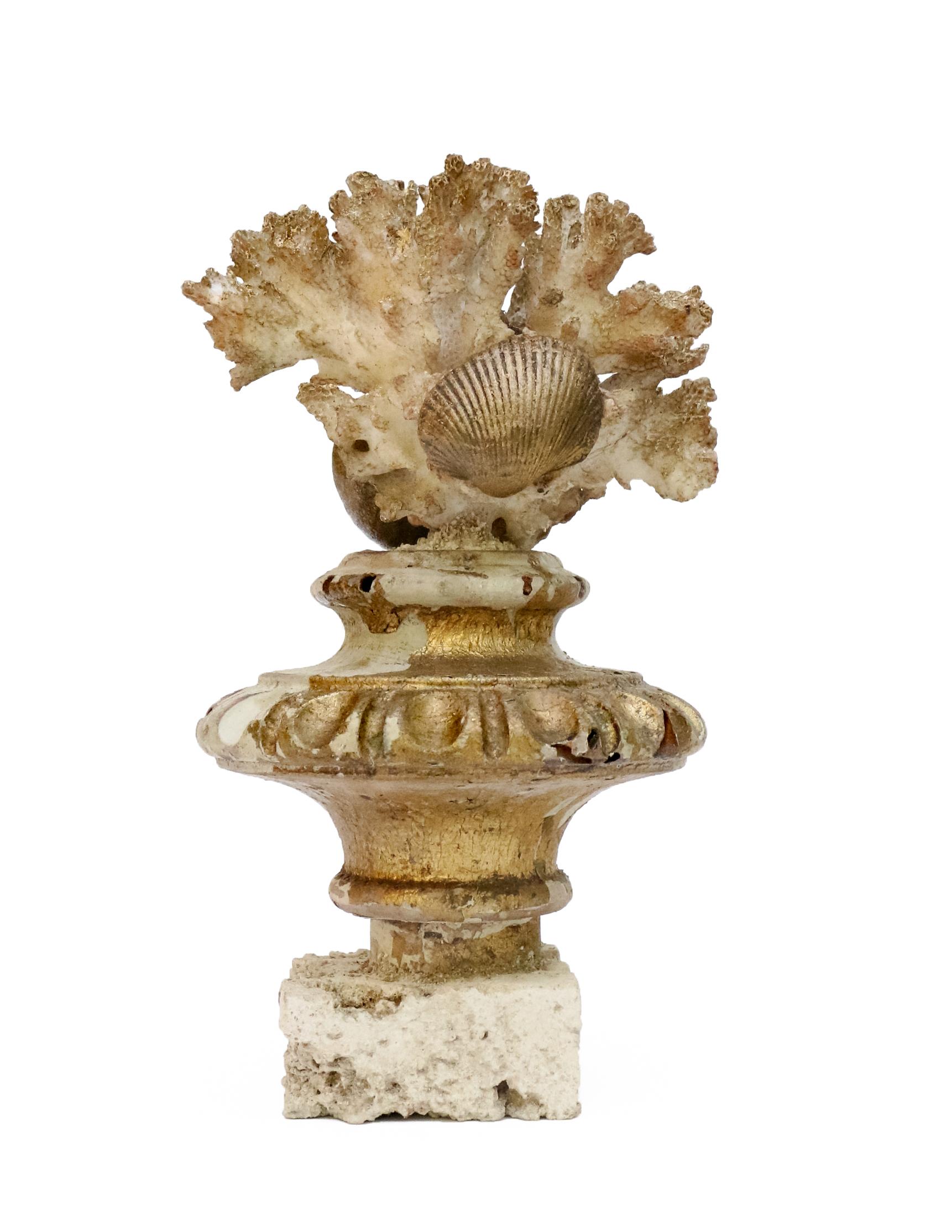 19th Century Italian Gilded Fragments with Fossil Coral and Shells 'Group of 8' For Sale 4