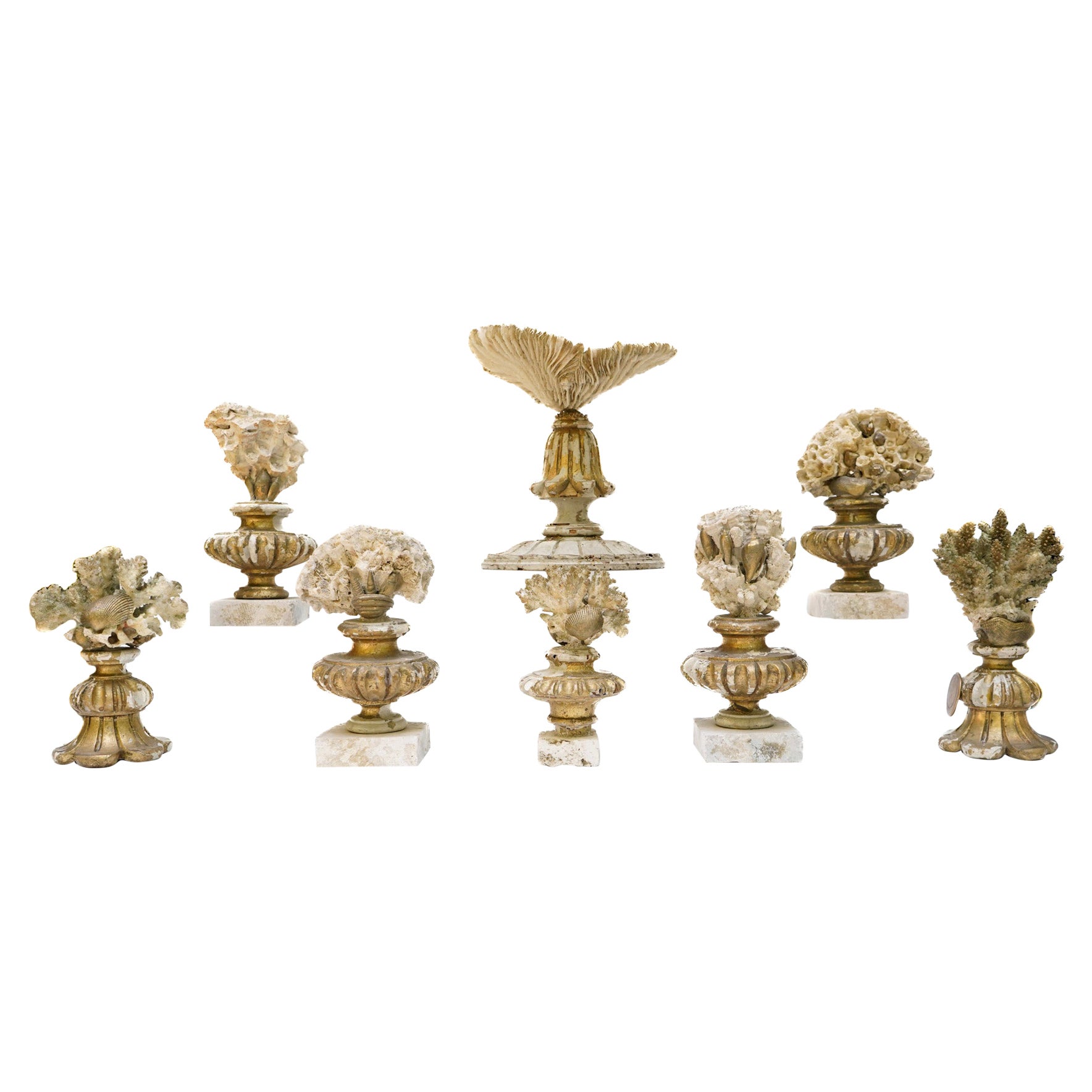 19th Century Italian Gilded Fragments with Fossil Coral and Shells 'Group of 8' For Sale