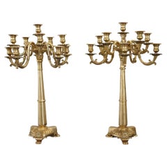 19th Century Italian Gilt Bronze Pair of Used Candelabras with Eleven Lights