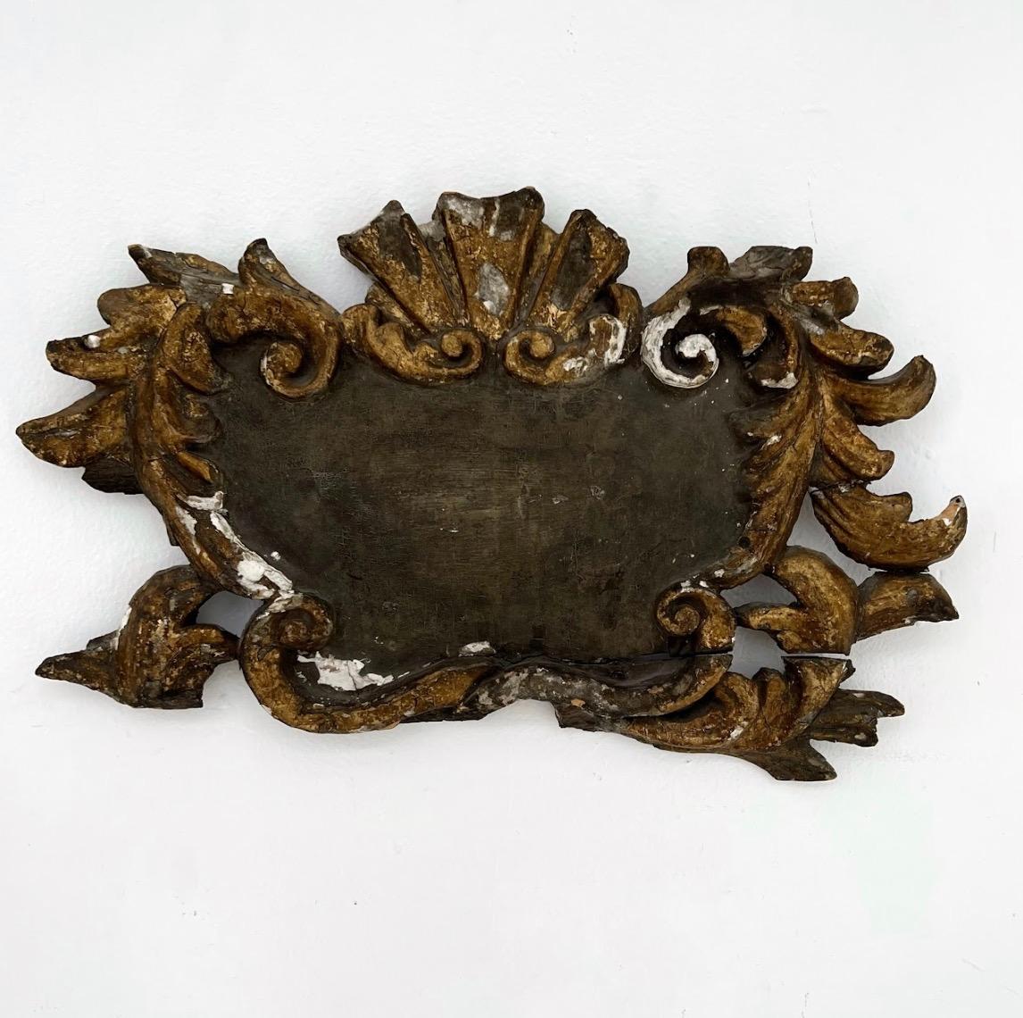Ein exquisiter italienischer Wandbehang aus dem 19. Jahrhundert mit komplizierten, handgeschnitzten Muschel- und Schneckenmotiven, die mit originalen vergoldeten und polychromen Verzierungen akzentuiert sind. Dieses dekorative Paneel ist ein