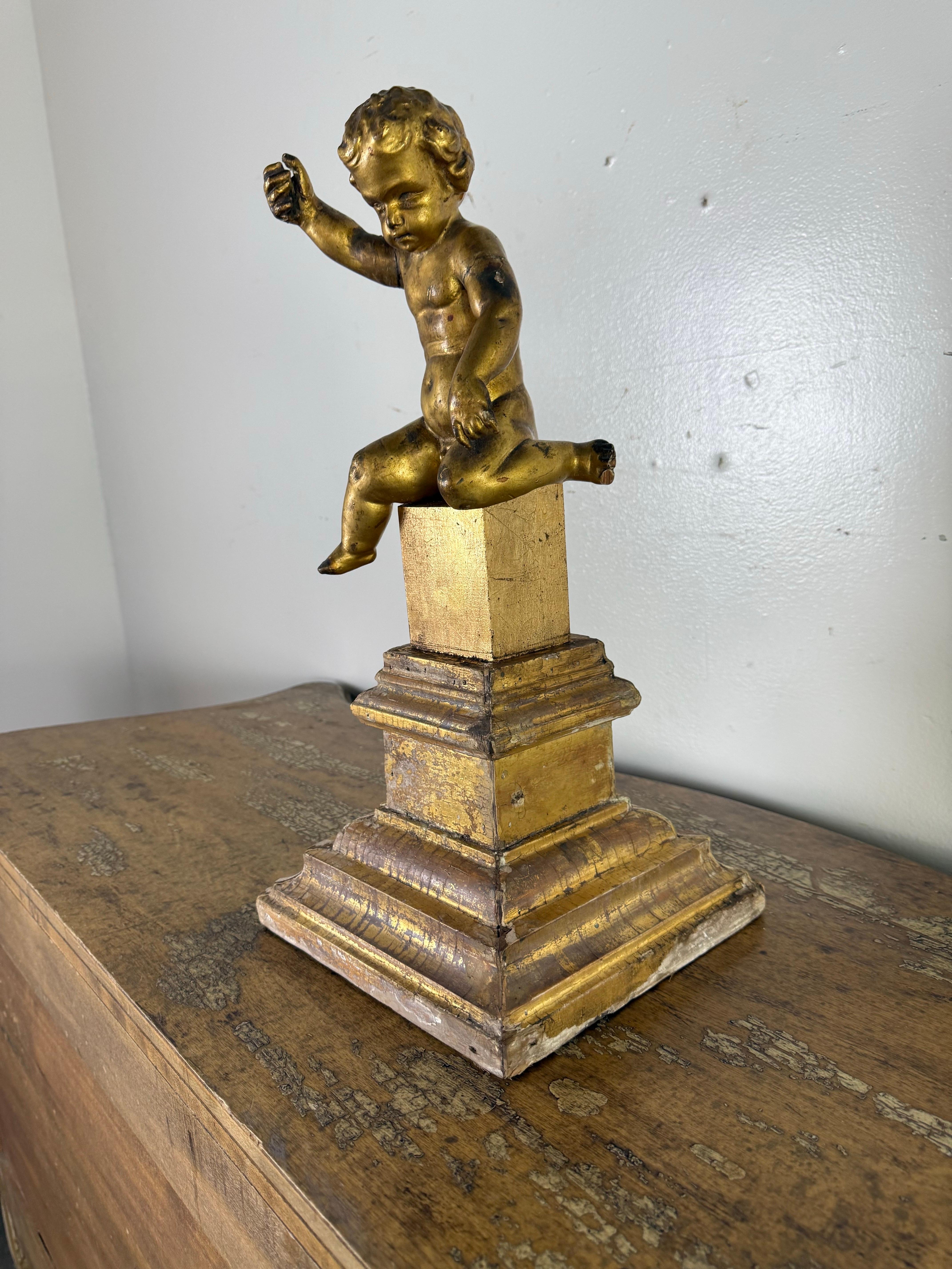 Bois doré Chérubin italien du XIXe siècle en bois doré sur socle sculpté en vente