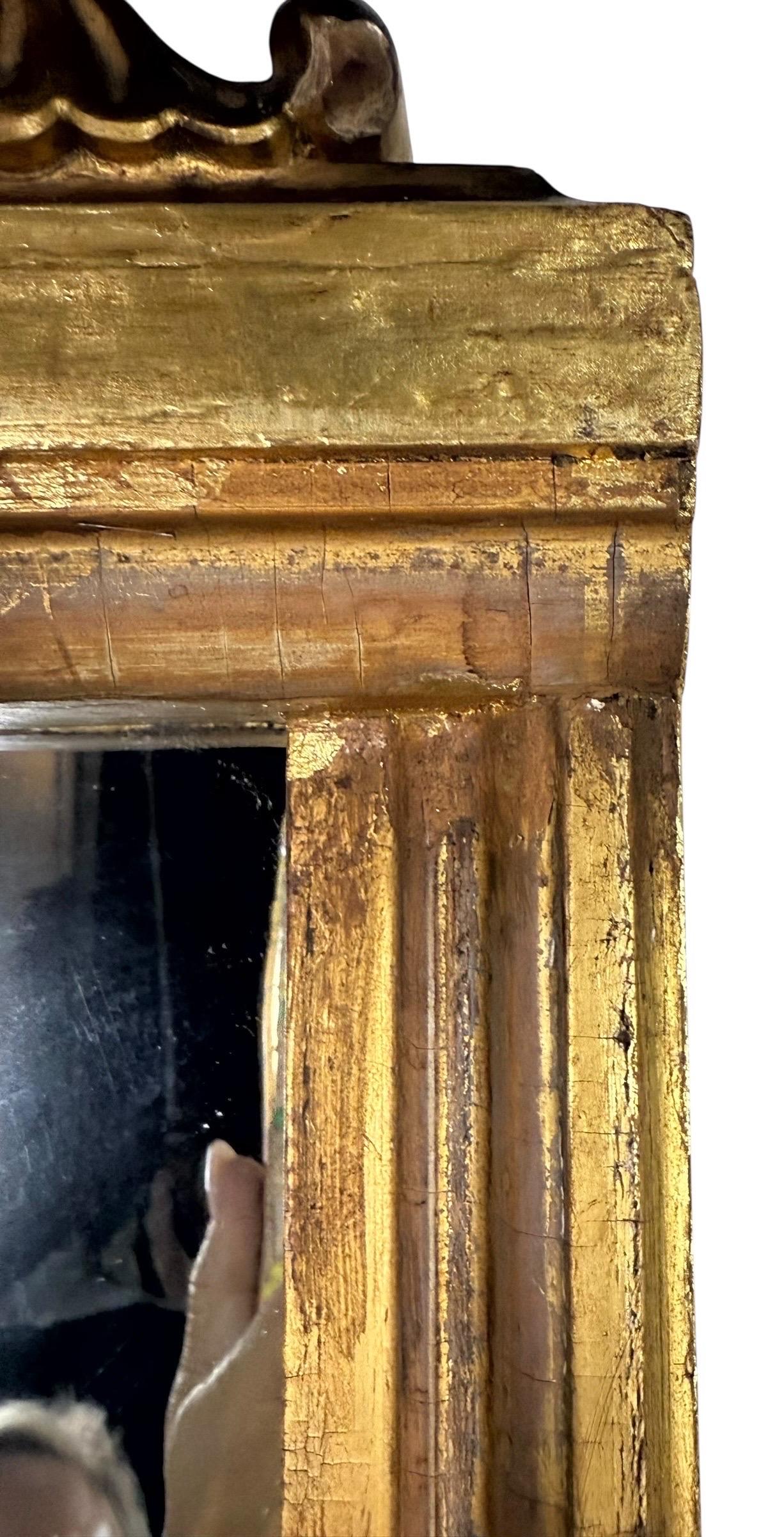 Miroir italien en bois doré finement sculpté du 19ème siècle, présentant une crête audacieuse surmontée d'un cartouche de coquilles Saint-Jacques flanqué de feuilles d'acanthe en volute. Le cadre rectangulaire est richement doré et présente une