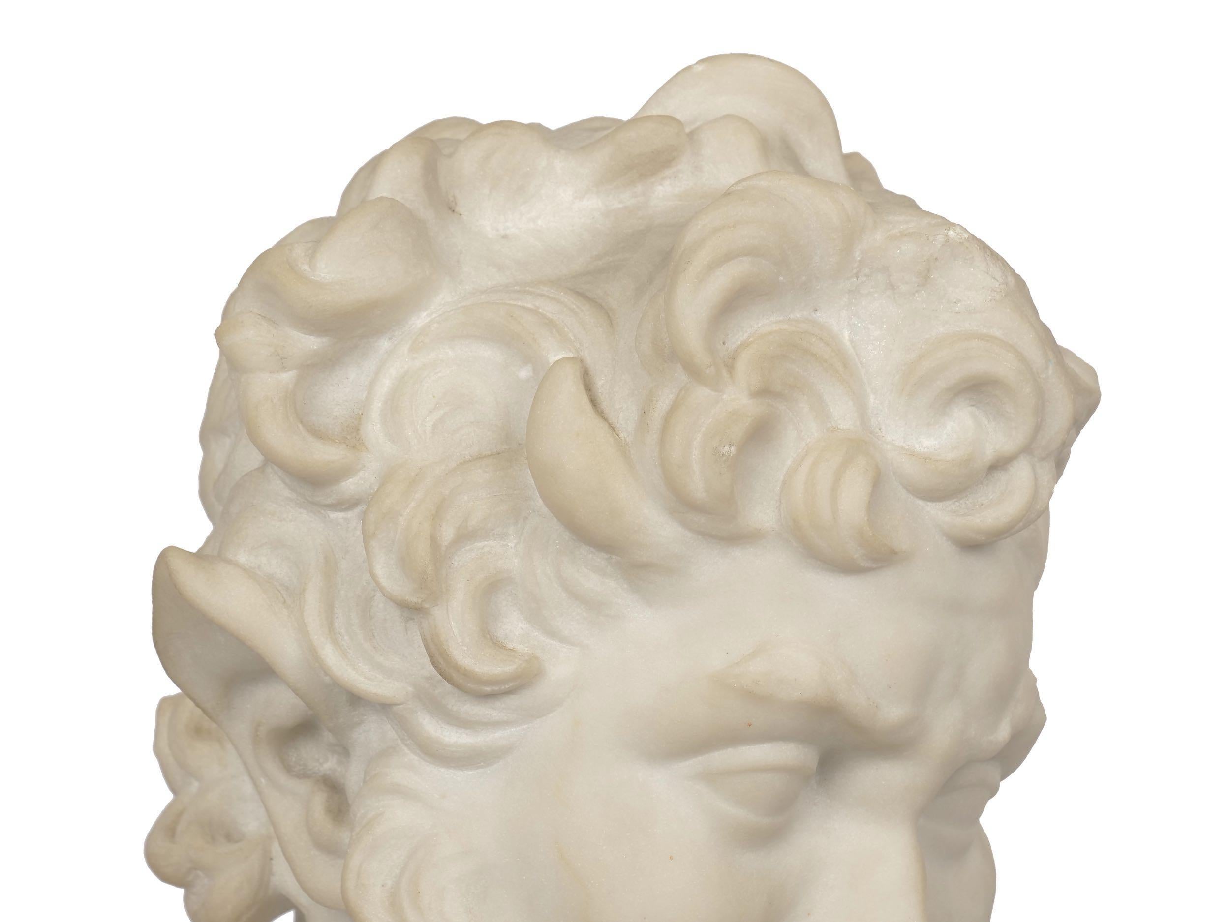 19th Century Italian Grand Tour Antique Carved Marble Bust of a Satyr 9