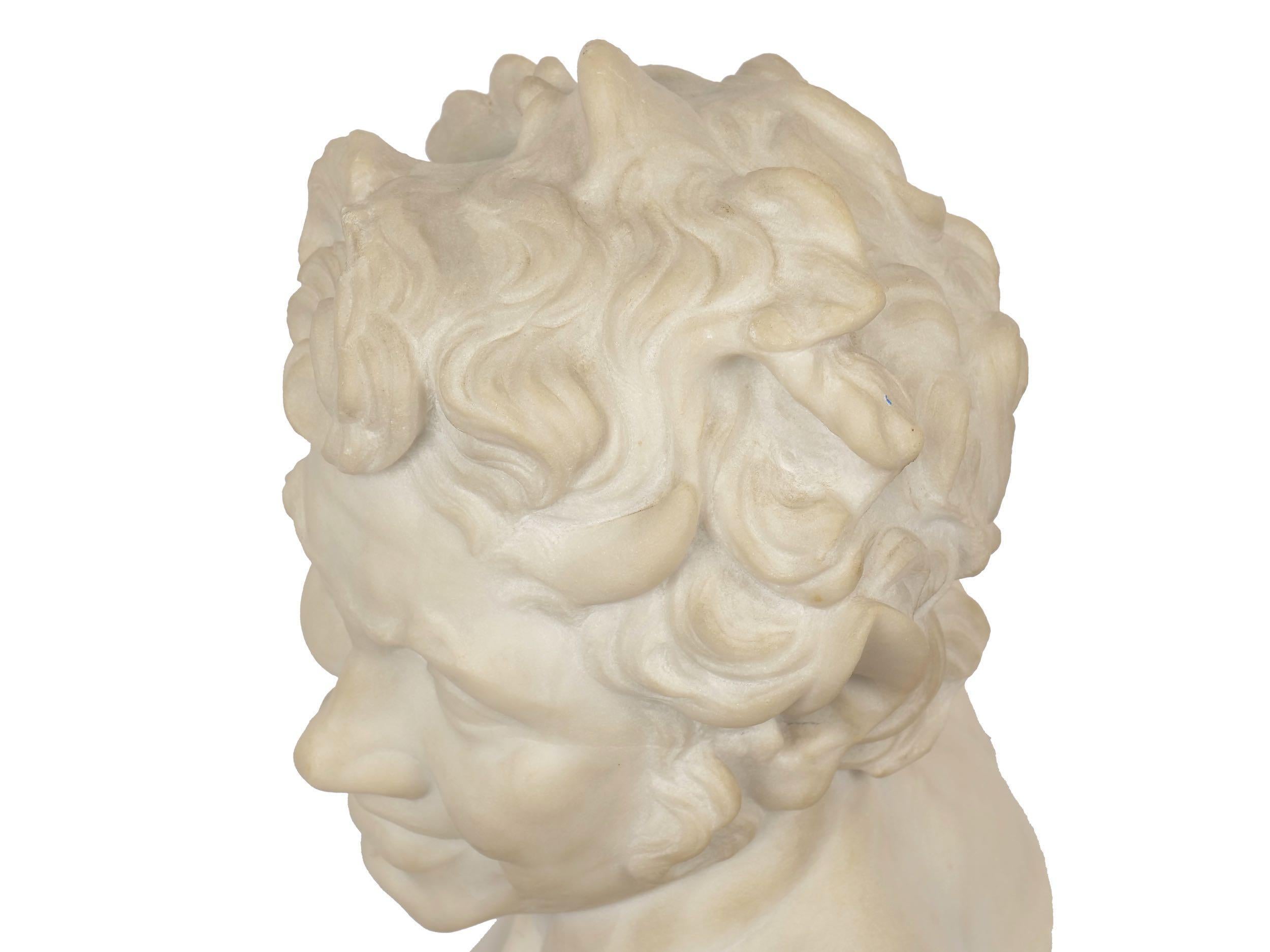 19th Century Italian Grand Tour Antique Carved Marble Bust of a Satyr 12