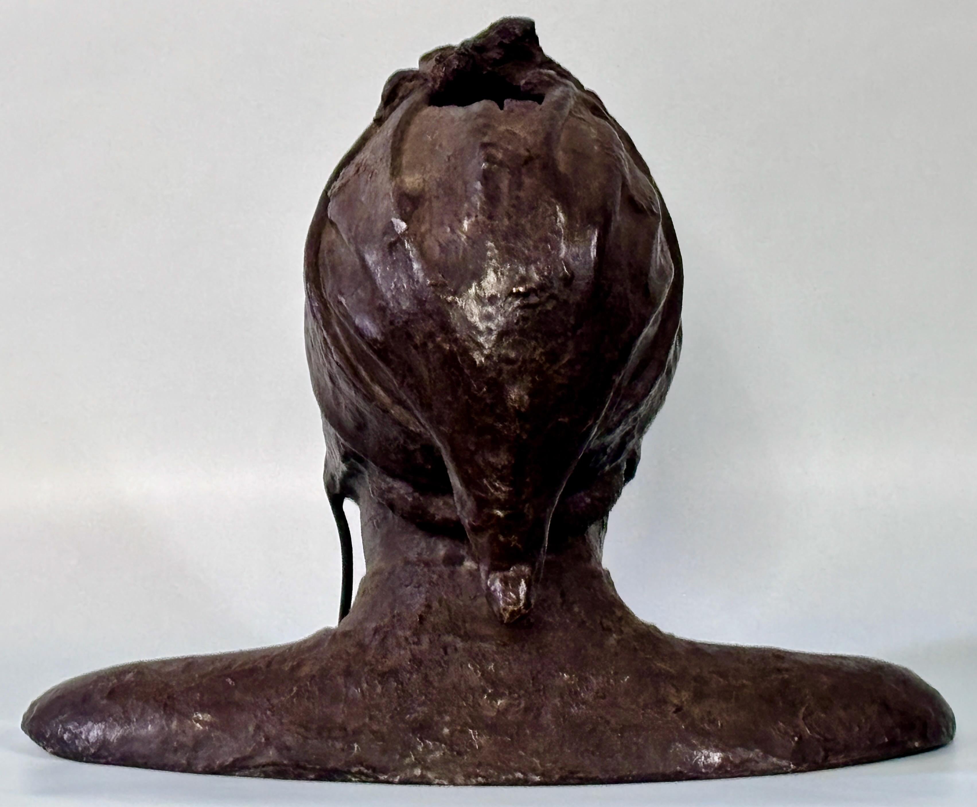 19th Century Italian Grand Tour Bronze Bust of Dante For Sale 5