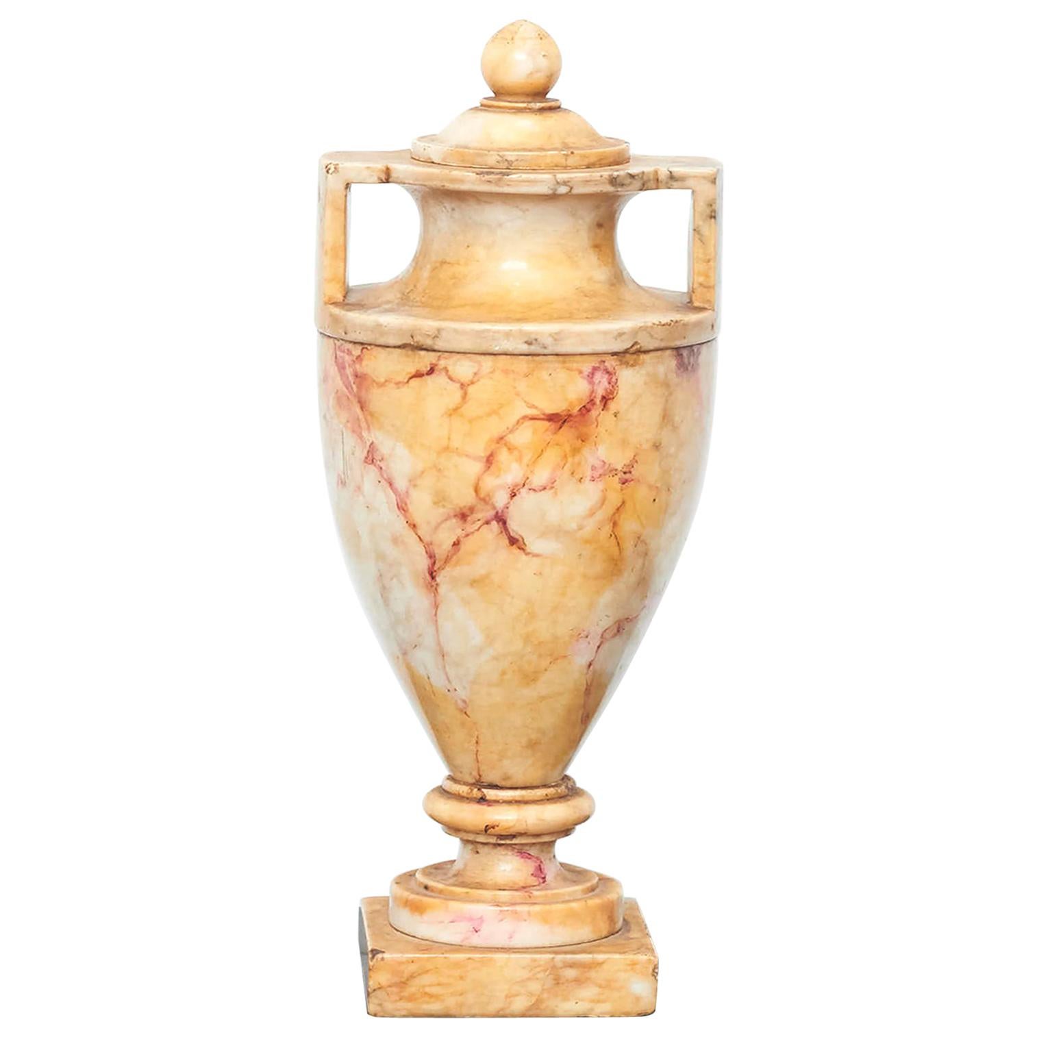 19th Century Italian Grand Tour Carved Alabaster Urn Vase