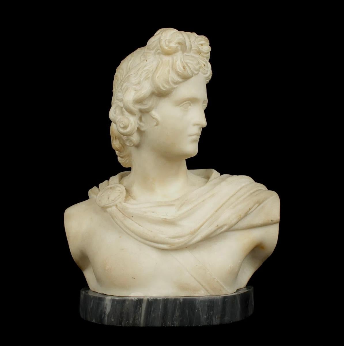 Busto in marmo scolpito di Apollo del XIX secolo, Gran Turismo Italiano in vendita 1