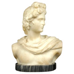 Busto de Apolo tallado en mármol del Gran Tour italiano del siglo XIX