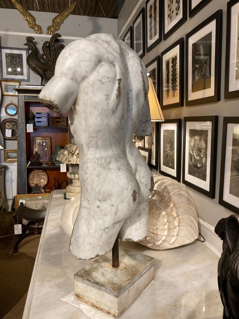 19th Century Italian Grand Tour Carved Marble Nude Male Torso 7