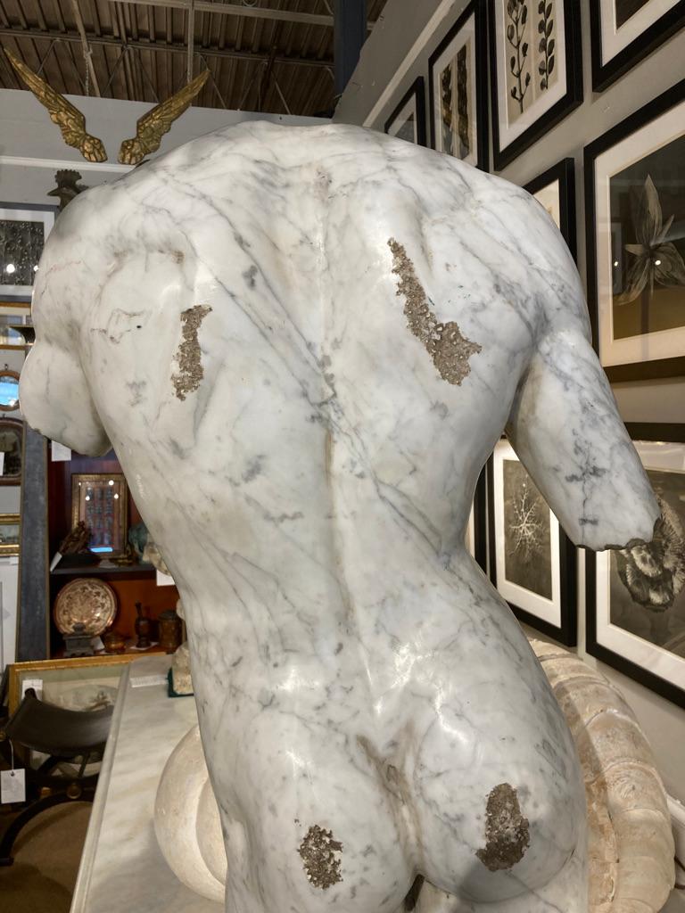 19th Century Italian Grand Tour Carved Marble Nude Male Torso 10