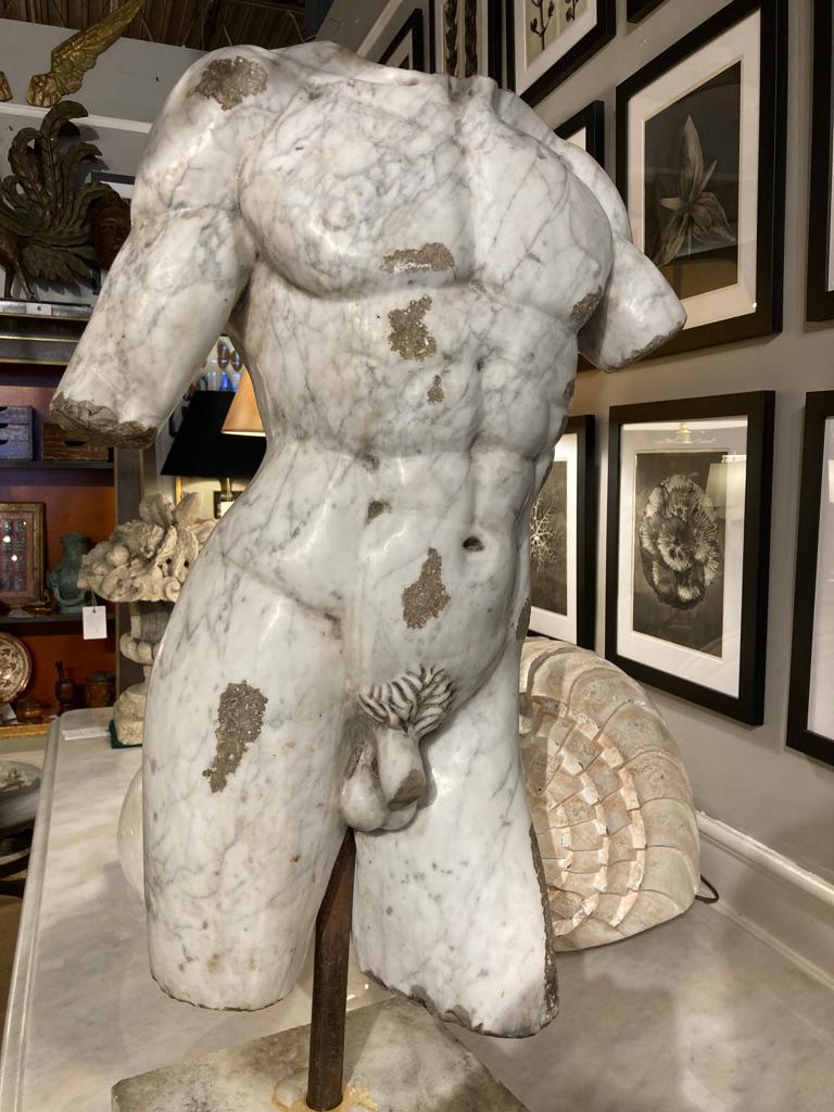 19th Century Italian Grand Tour Carved Marble Nude Male Torso 13