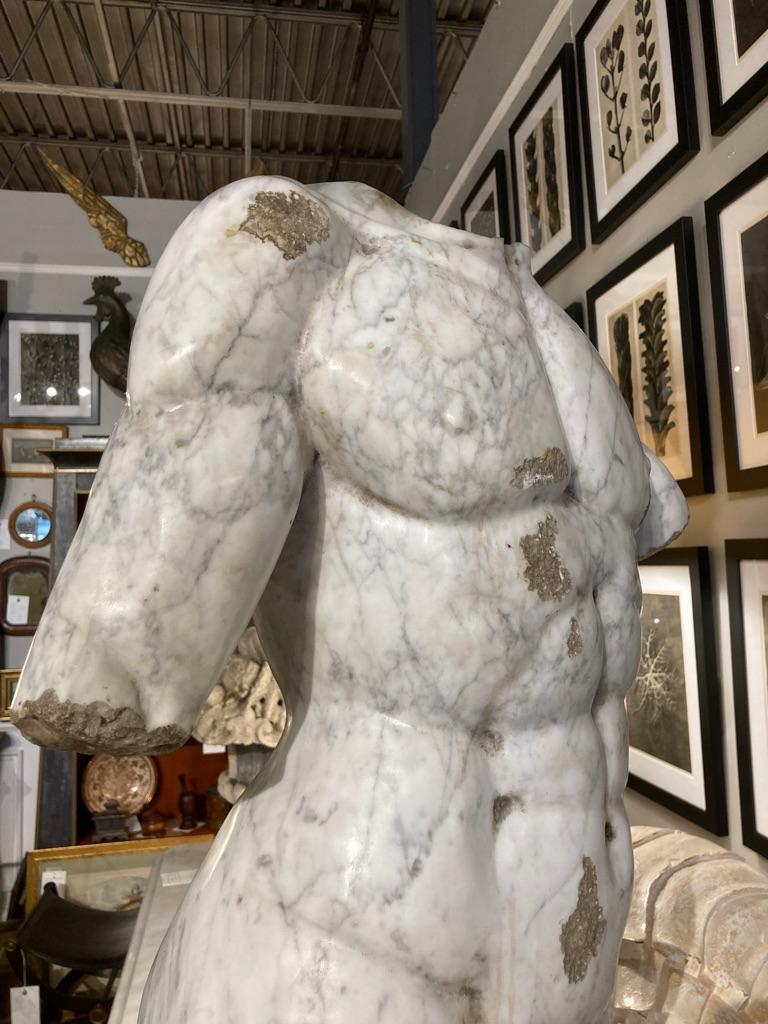 19th Century Italian Grand Tour Carved Marble Nude Male Torso 15