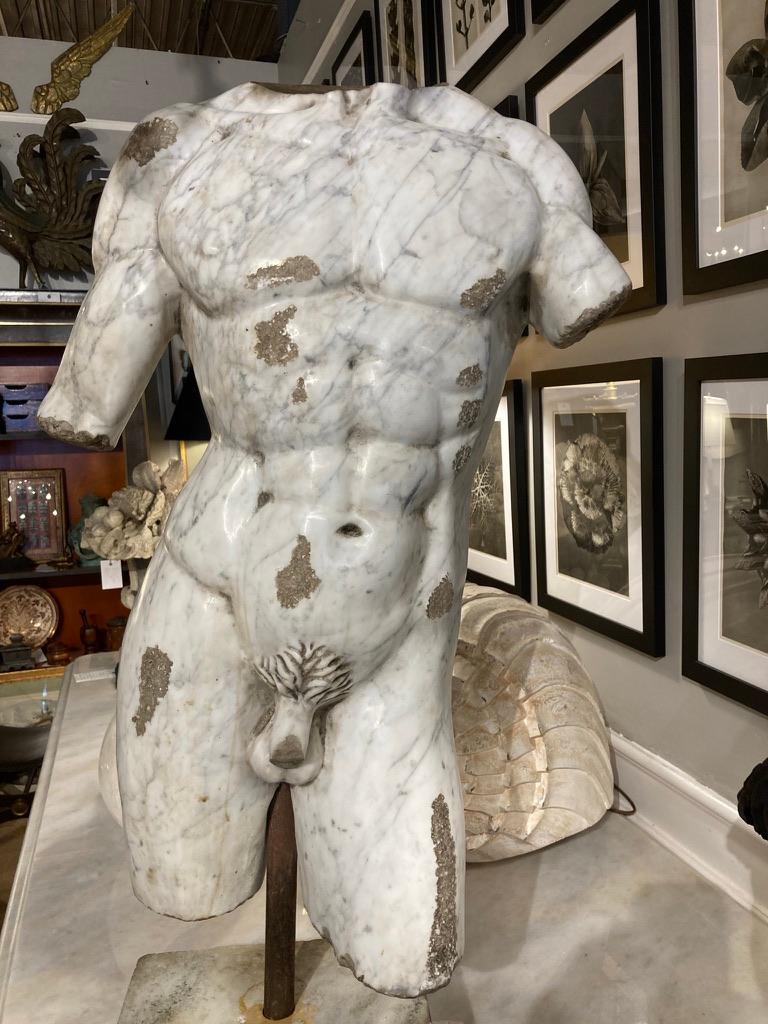 Classical Roman 19th Century Italian Grand Tour Carved Marble Nude Male Torso