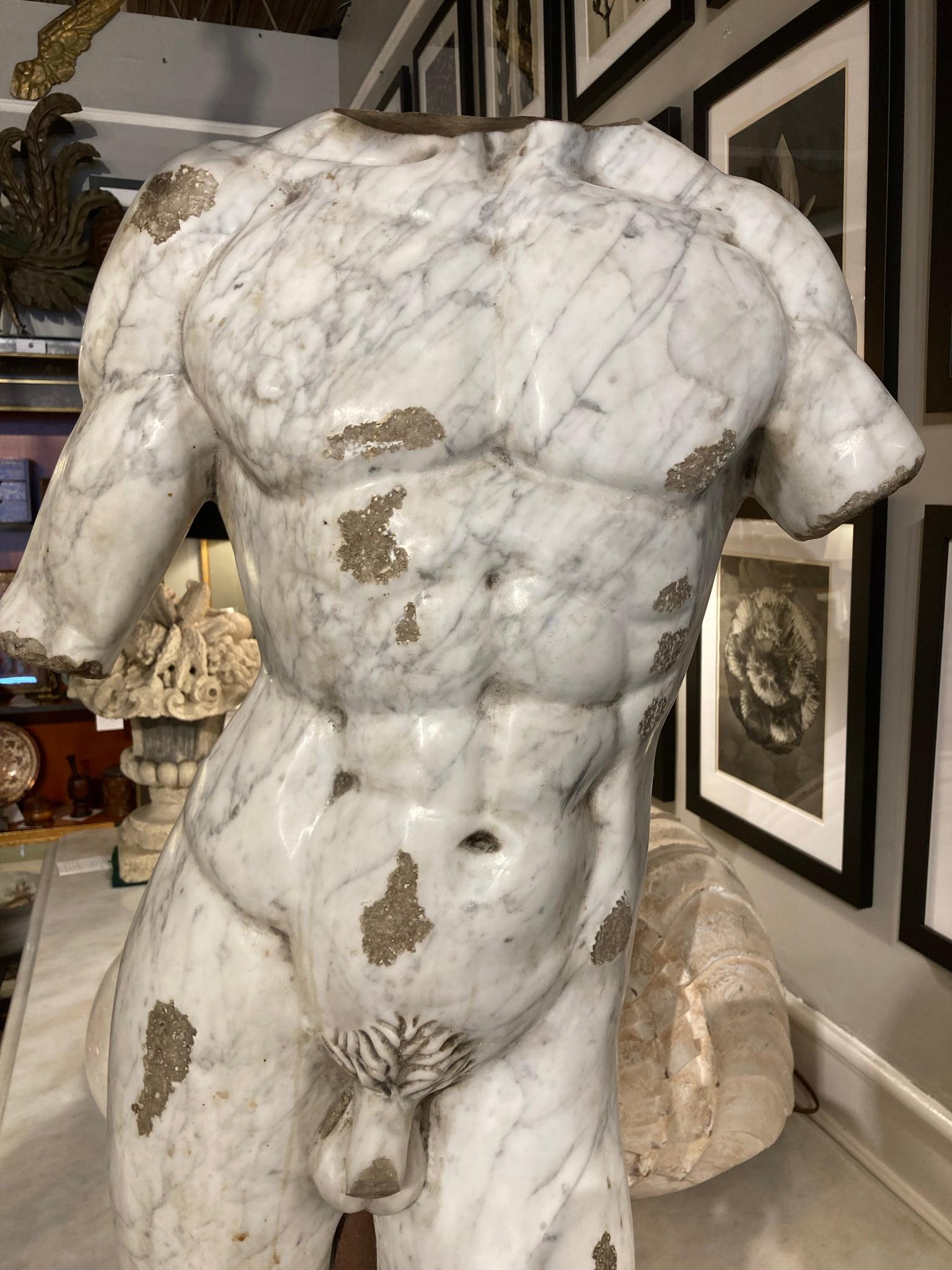 19th Century Italian Grand Tour Carved Marble Nude Male Torso 1
