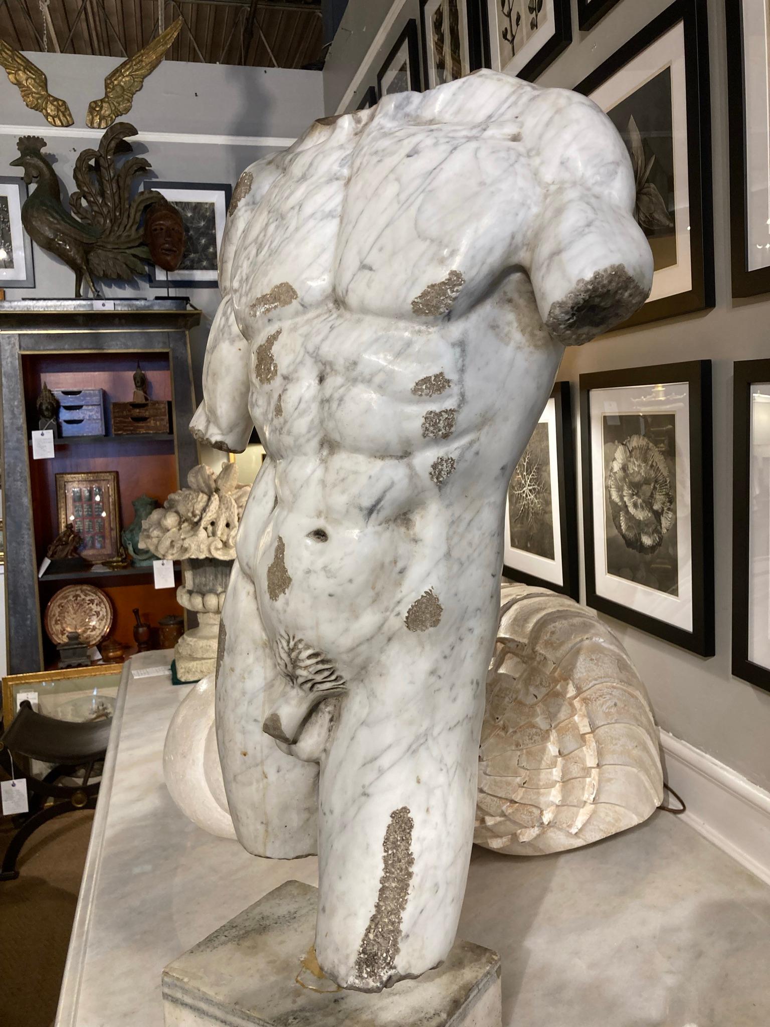 19th Century Italian Grand Tour Carved Marble Nude Male Torso 2