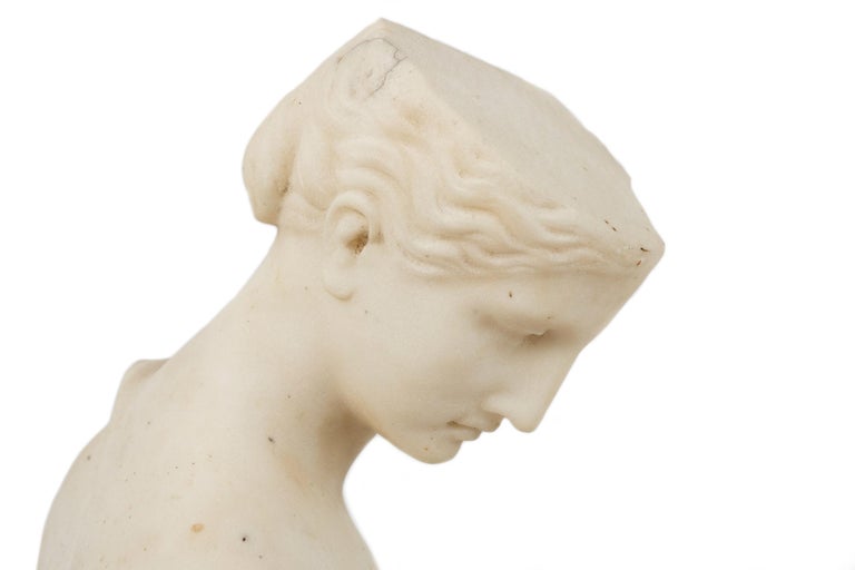 19th Century Italian Grand Tour Marble Sculpture 