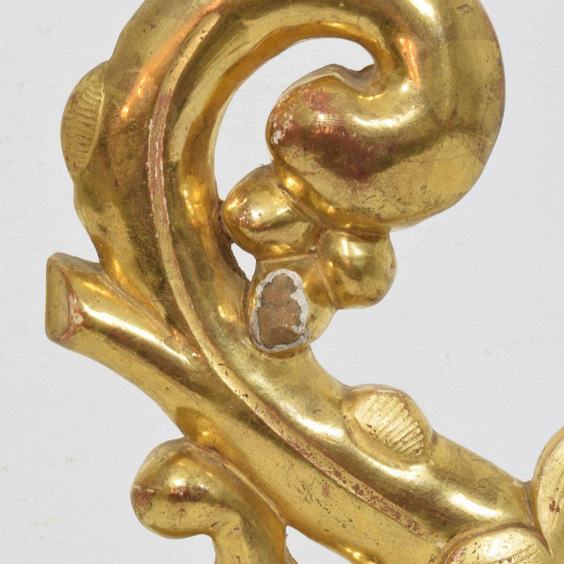 19th Century Italian Hand Carved Giltwood Baroque Style Curl Ornament For Sale 5