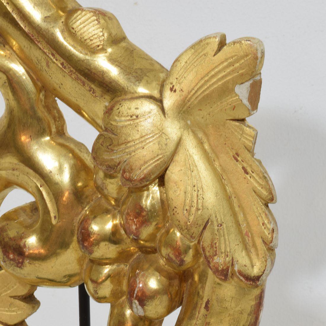 Adorno de rizo italiano del siglo XIX tallado a mano en madera dorada de estilo barroco en venta 4