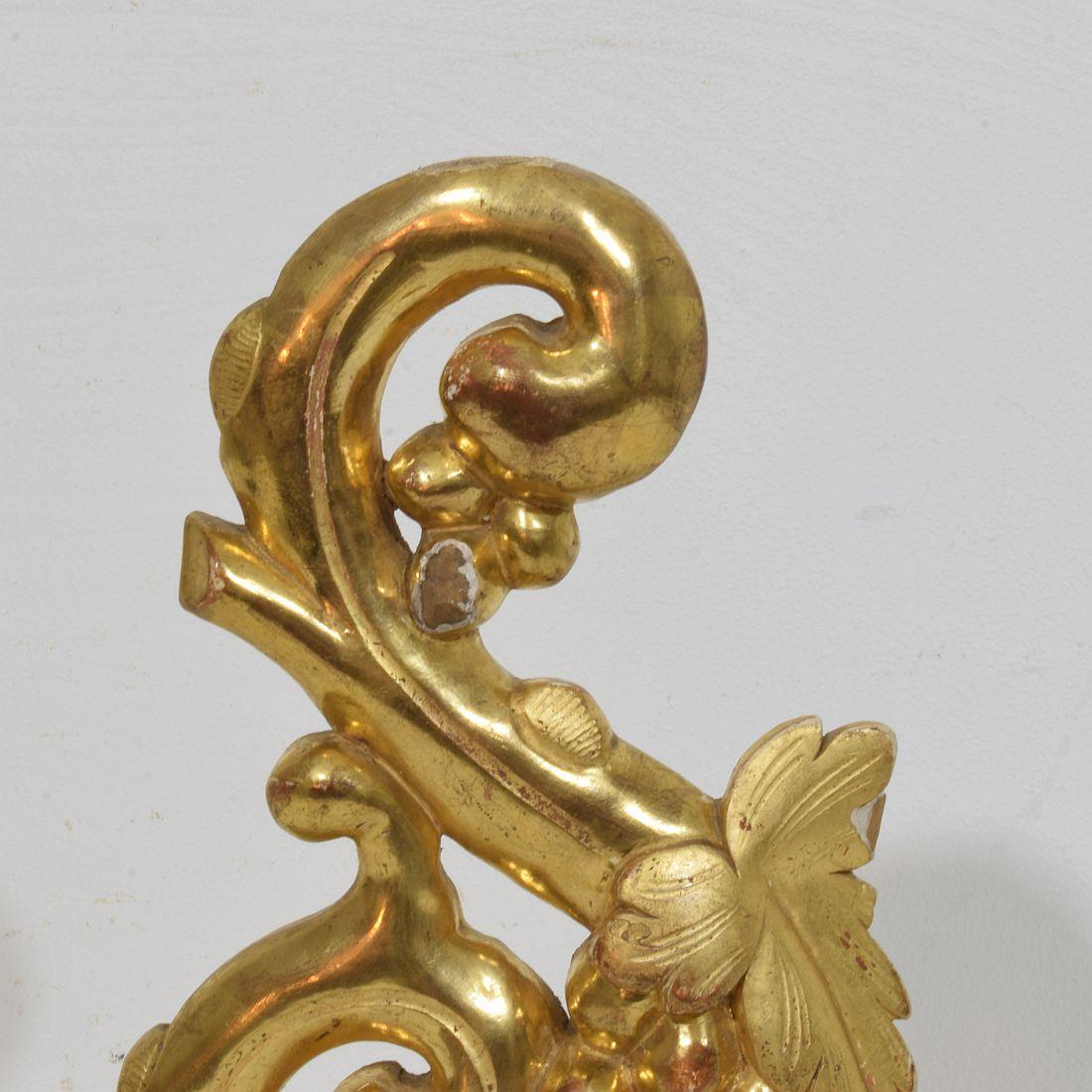 Adorno de rizo italiano del siglo XIX tallado a mano en madera dorada de estilo barroco en venta 1