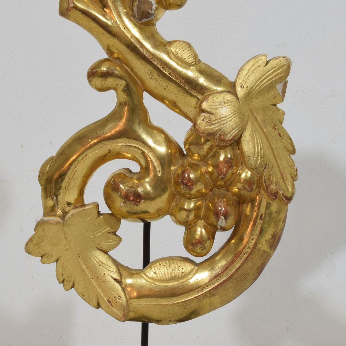 Adorno de rizo italiano del siglo XIX tallado a mano en madera dorada de estilo barroco en venta 2