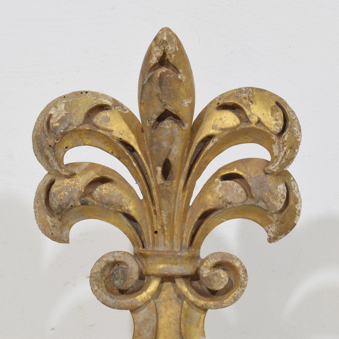 19. Jahrhundert Italienisch Hand geschnitzt Giltwood Gothic Style Ornament / Fragment im Angebot 1