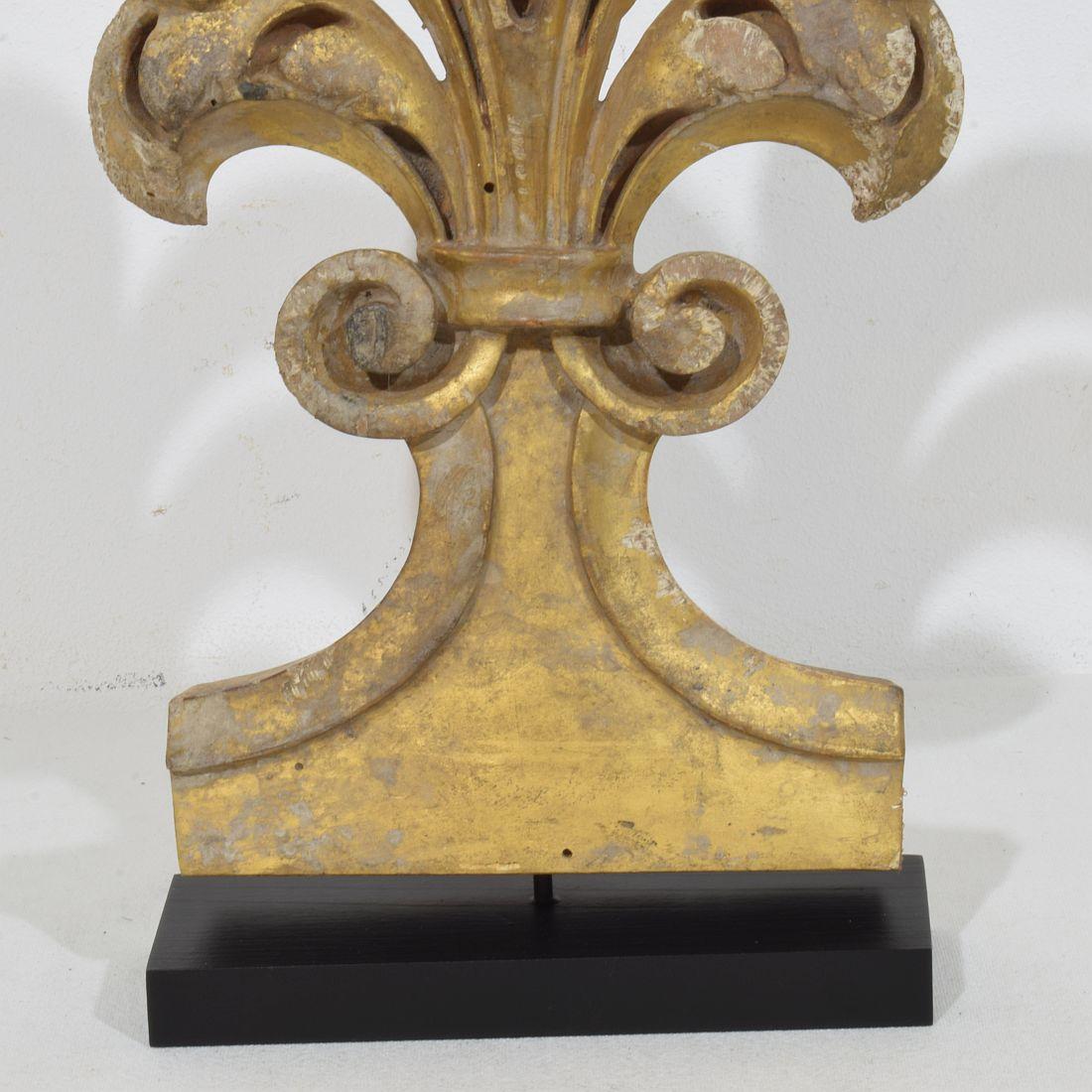 19. Jahrhundert Italienisch Hand geschnitzt Giltwood Gothic Style Ornament / Fragment im Angebot 2