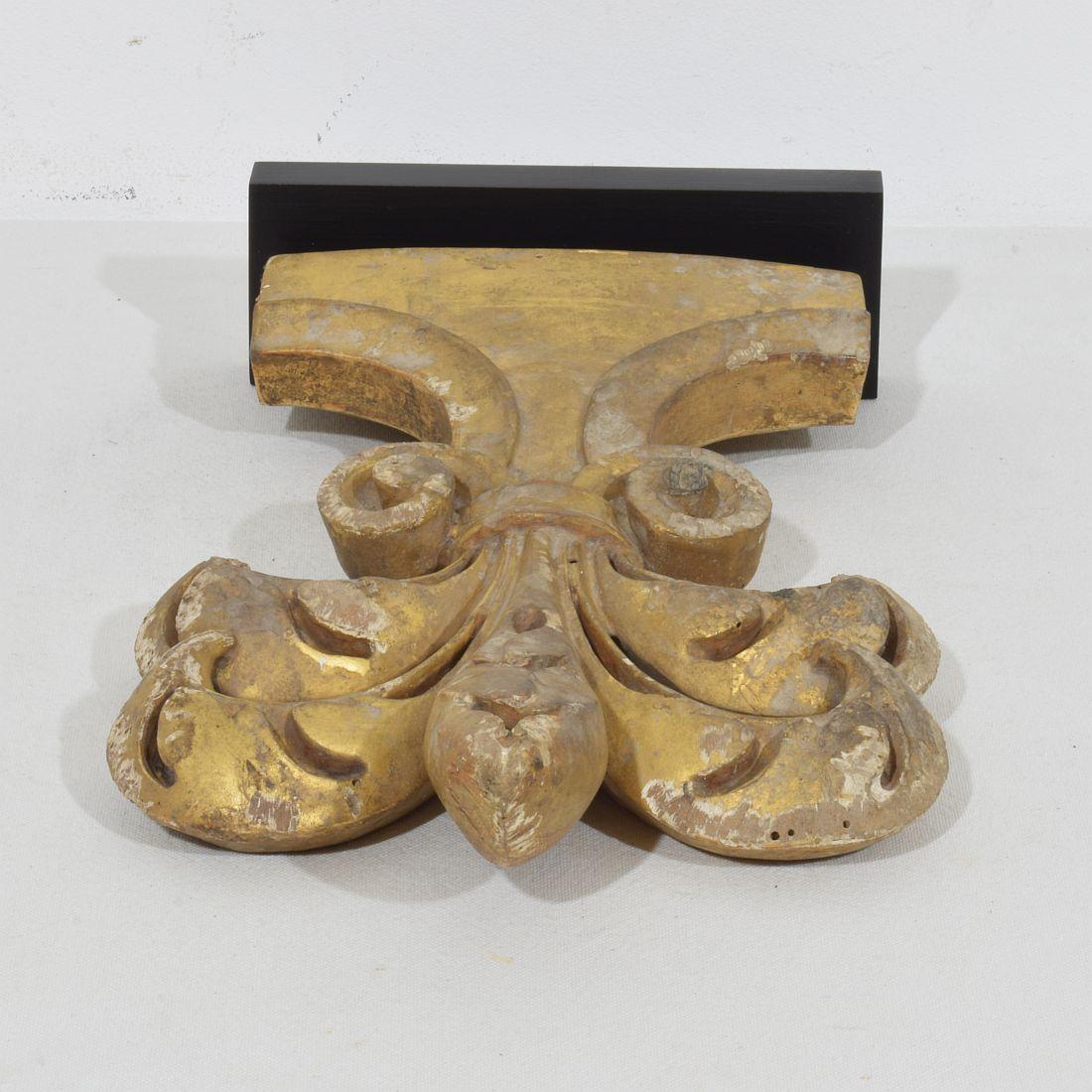 19. Jahrhundert Italienisch Hand geschnitzt Giltwood Gothic Style Ornament / Fragment im Angebot 3