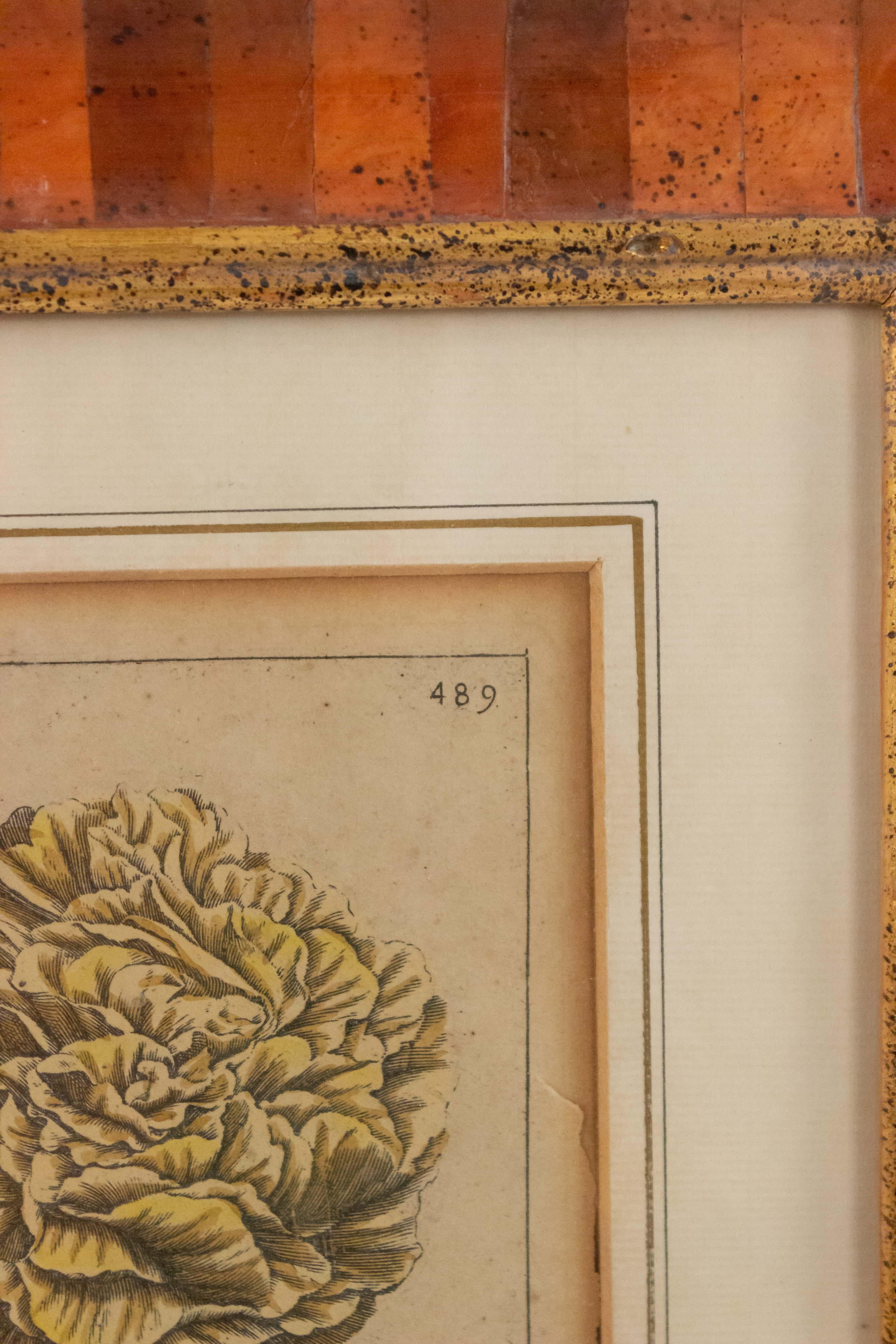 Renaissance Gravure italienne du 19ème siècle colorée à la main de fleurs dans un cadre incrusté en vente