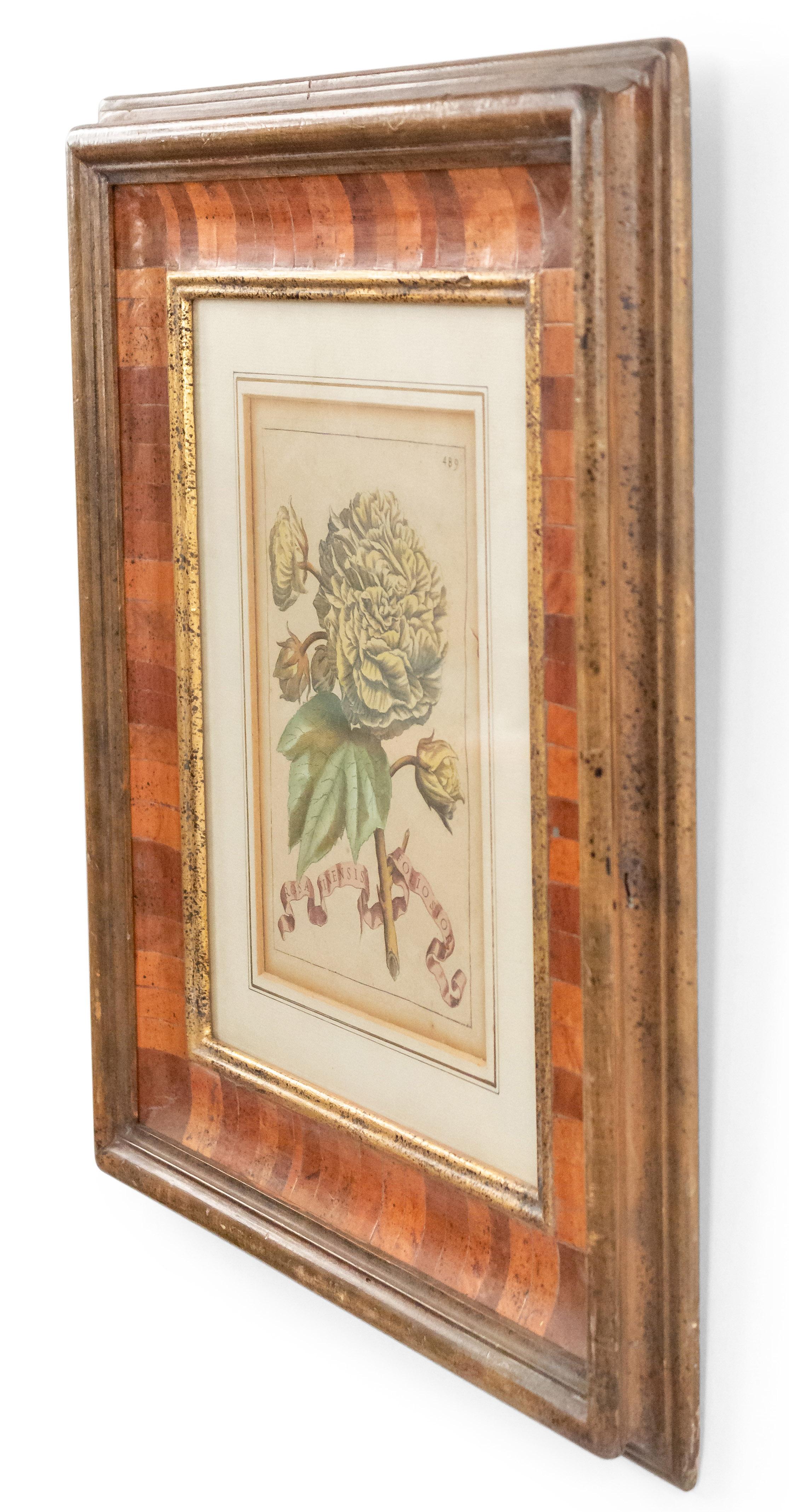 Paper 19th Century Italian Hand Colored Engraving of Flowers in an Inlaid Frame For Sale