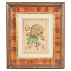 19th Century Italian Hand Colored Engraving of Flowers in an Inlaid Frame