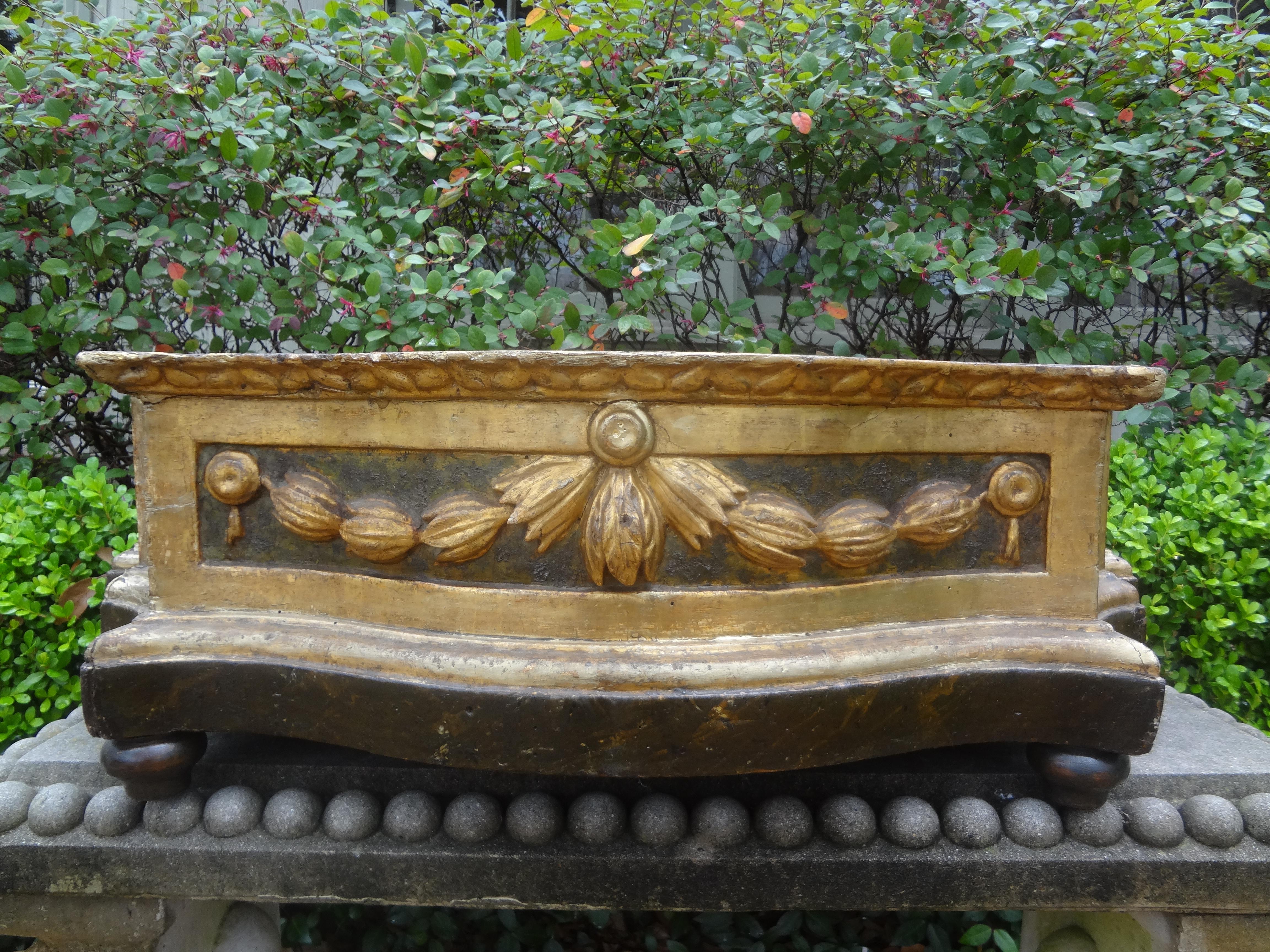 19th Century Italian Louis XVI Style Carved Wood Planter For Sale 3