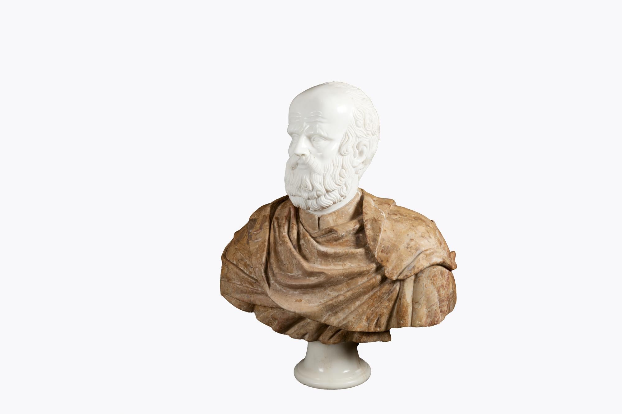Hand-Carved 19th Century Italian Marble Bust of Socrates For Sale