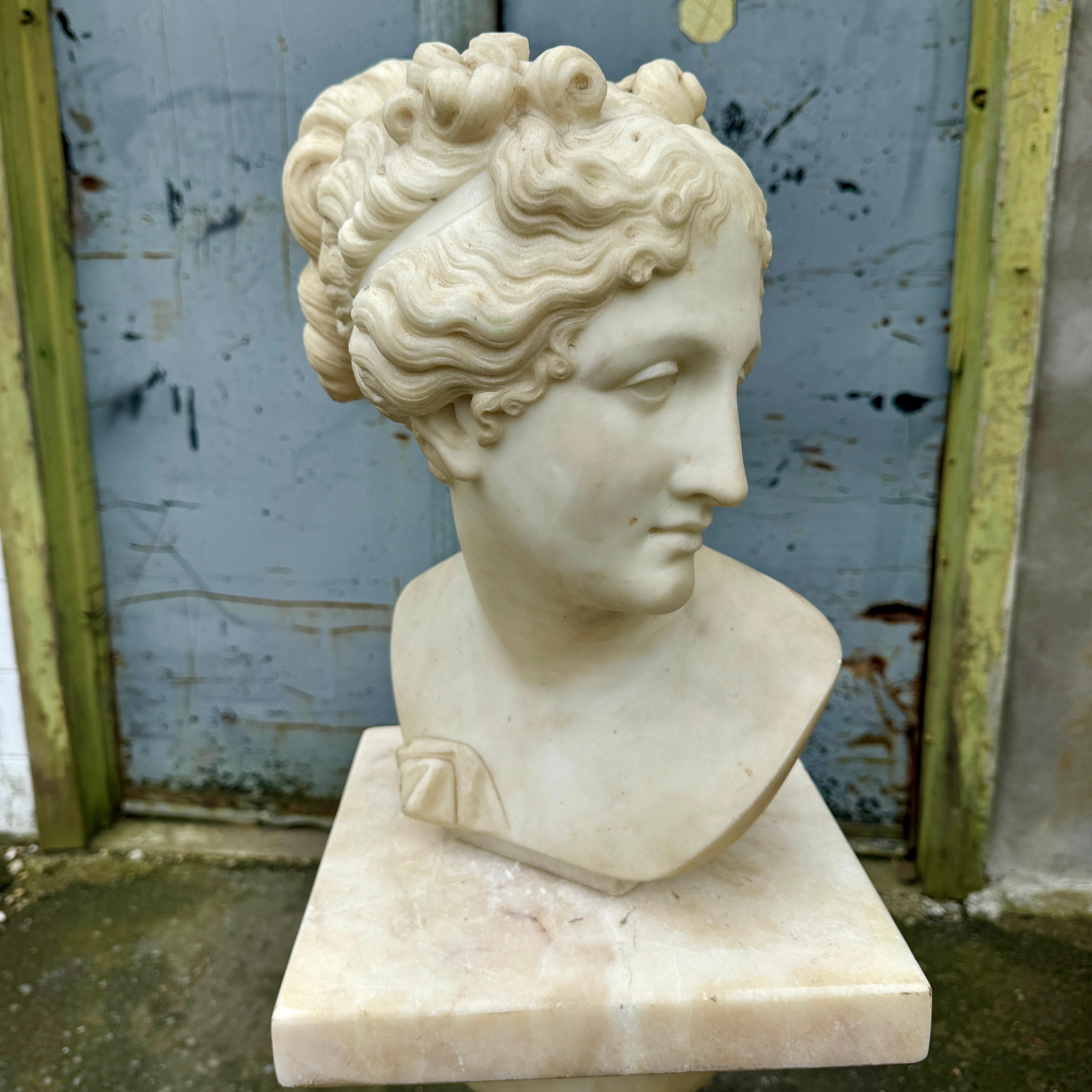 19th Century Italian Marble Bust on Column Pedestal Base For Sale 5
