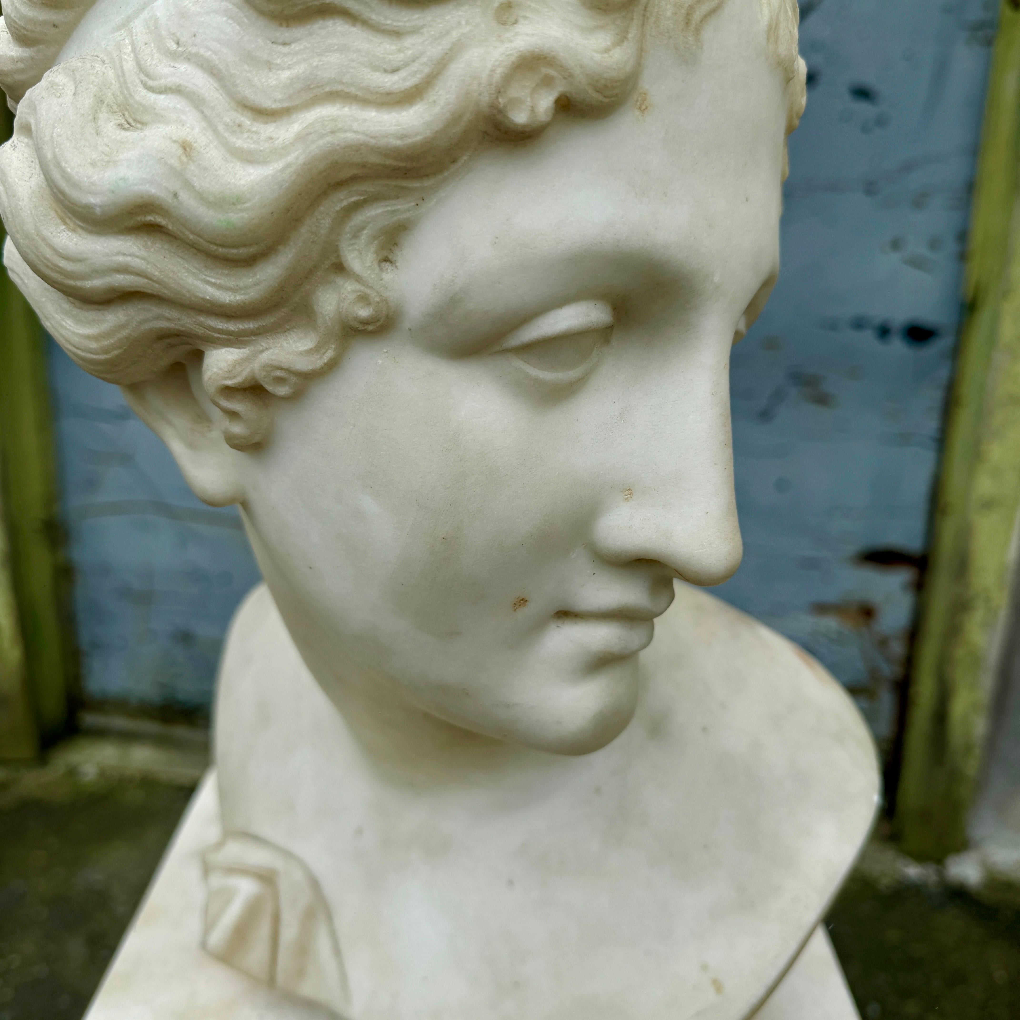 19th Century Italian Marble Bust on Column Pedestal Base For Sale 7