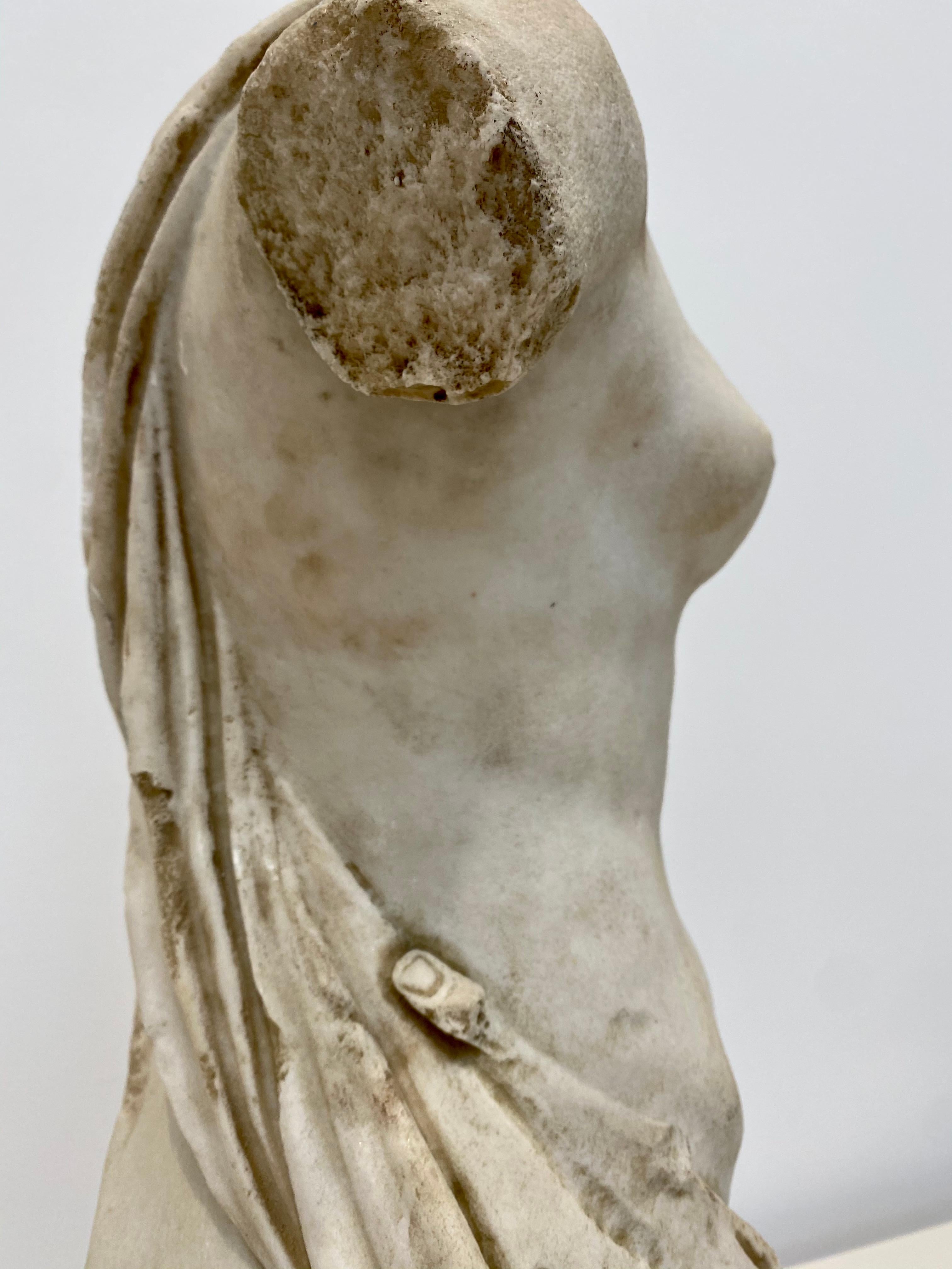 19th Century Italian Marble Female Torso on Steel Museum Mount 9