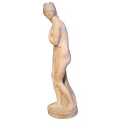 19th Century Italian Marble Figurine of Venus