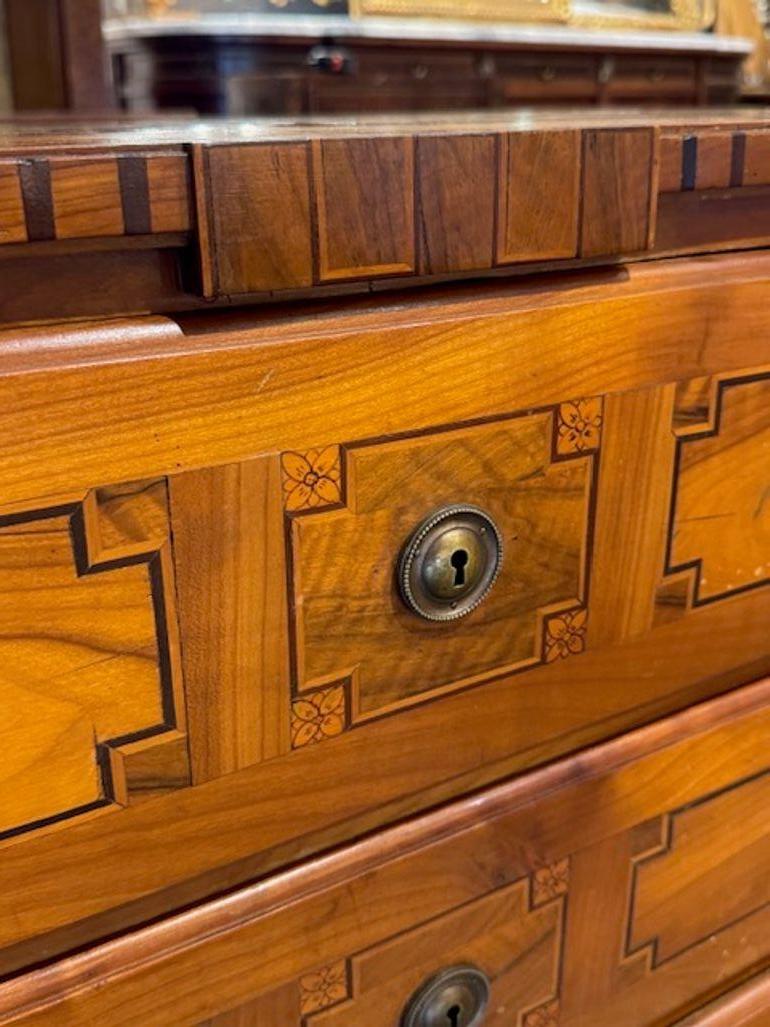 19th Century Italian Neo-Classical Walnut Commode For Sale 2