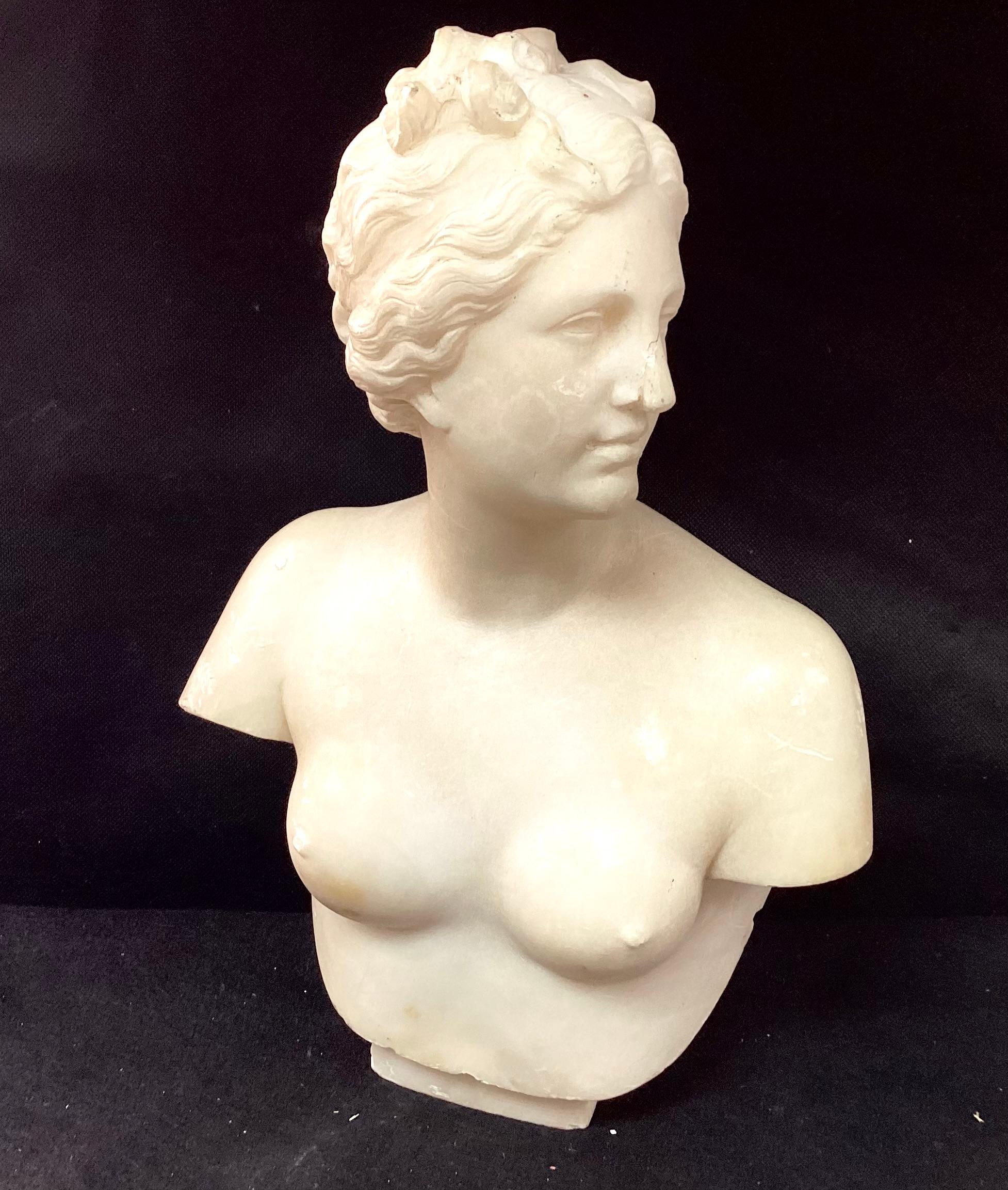 19th Century Italian Neoclassical Marble Bust For Sale 4