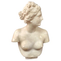 Busto de mármol neoclásico italiano del siglo XIX