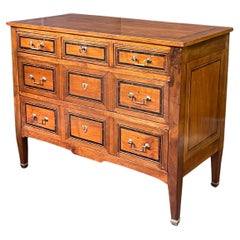 19th Century Italian Neoclassical Walnut Chest